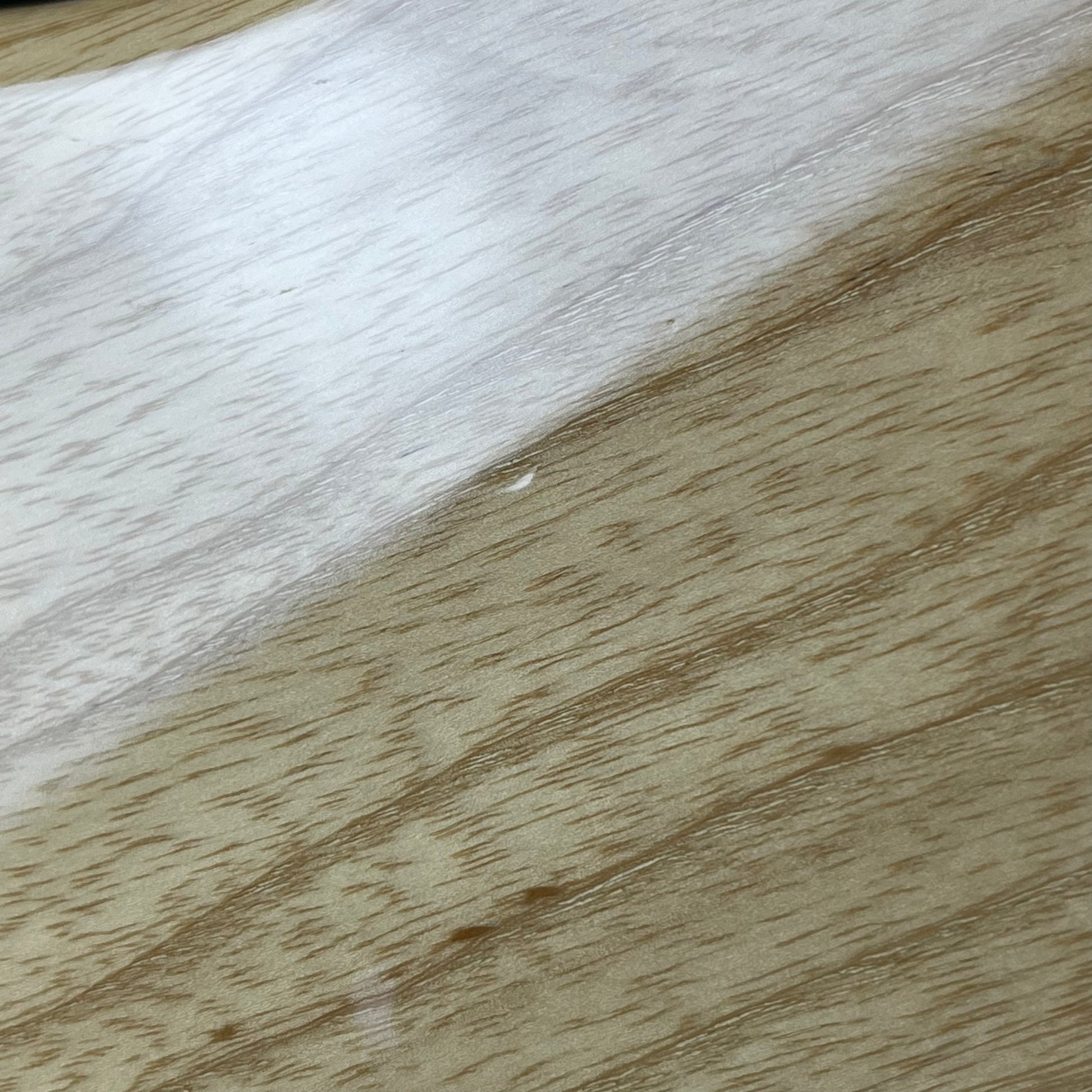 Fender Japan Traditional II 70s Jazz Bass