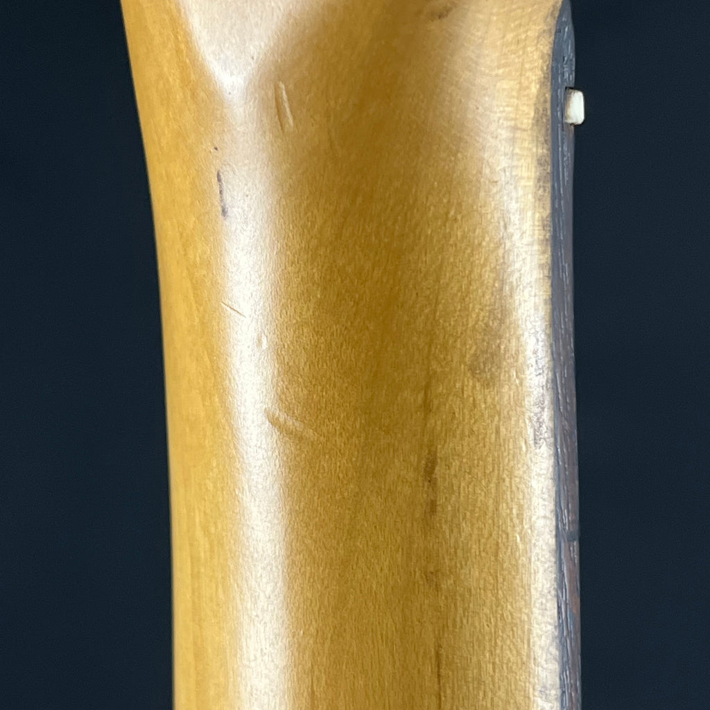 Bacchus Telecaster
