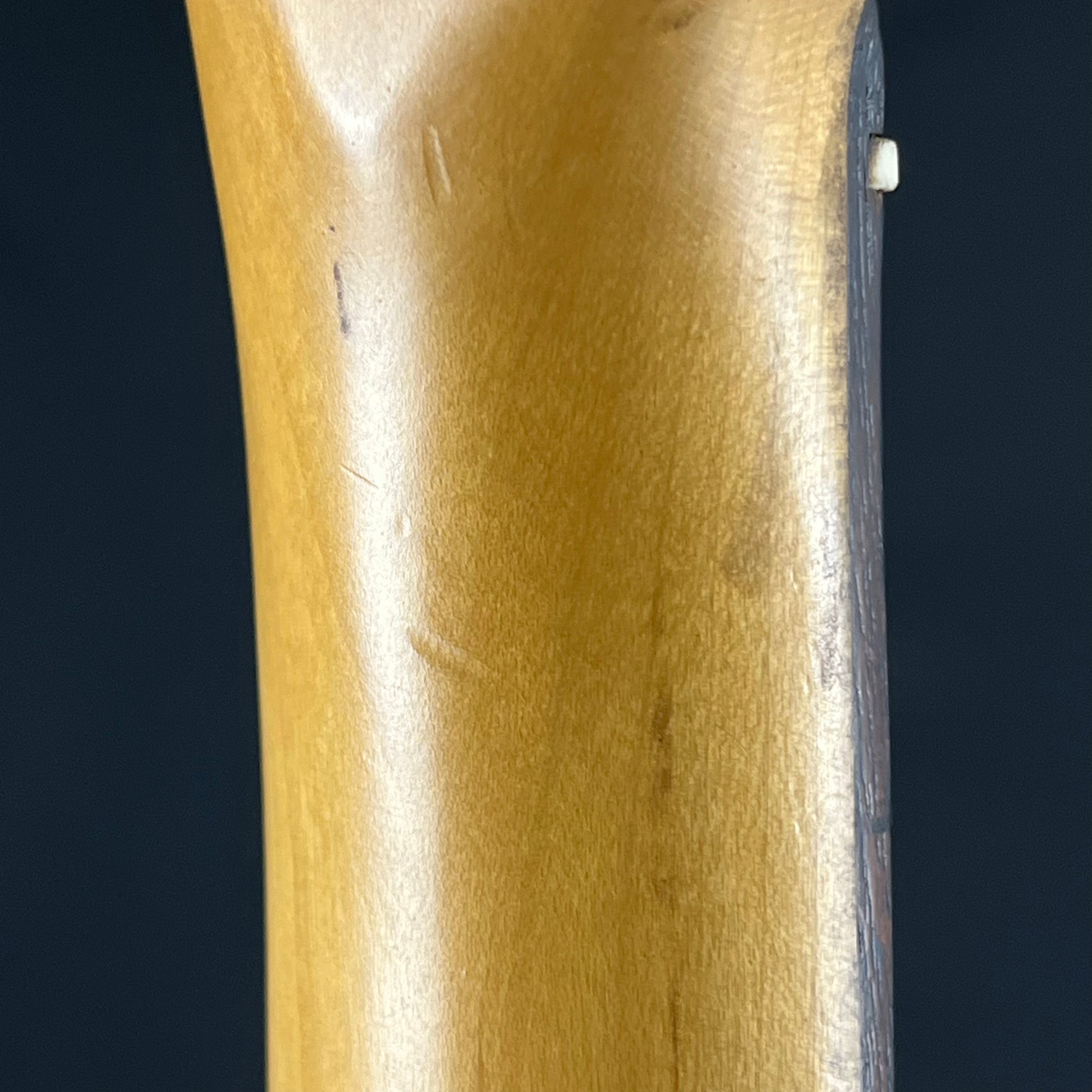 Bacchus Telecaster