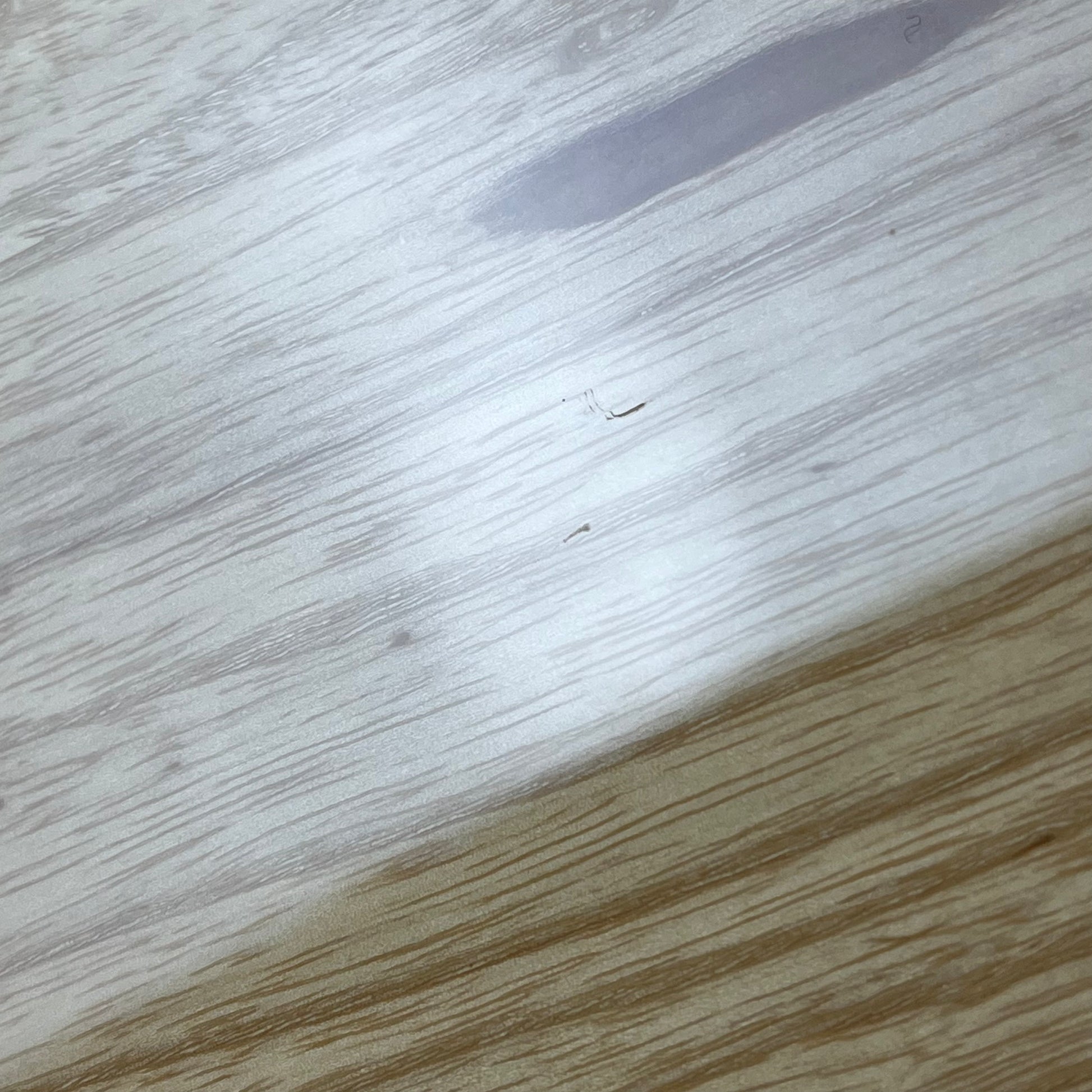 Fender Japan Traditional II 70s Jazz Bass