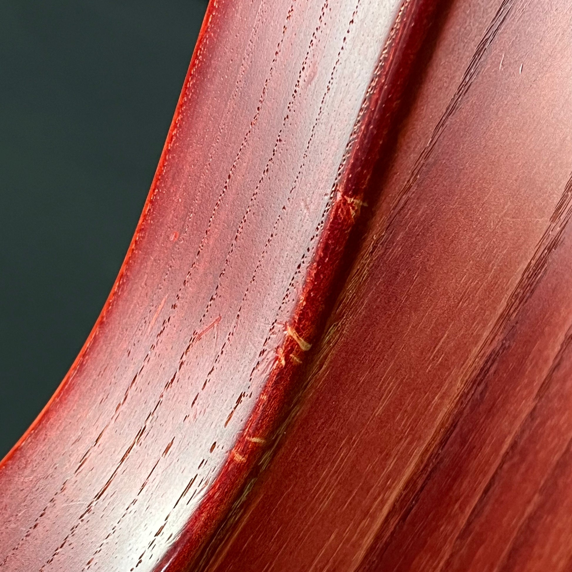 Bacchus Japan WOODLINE DX4 Bass