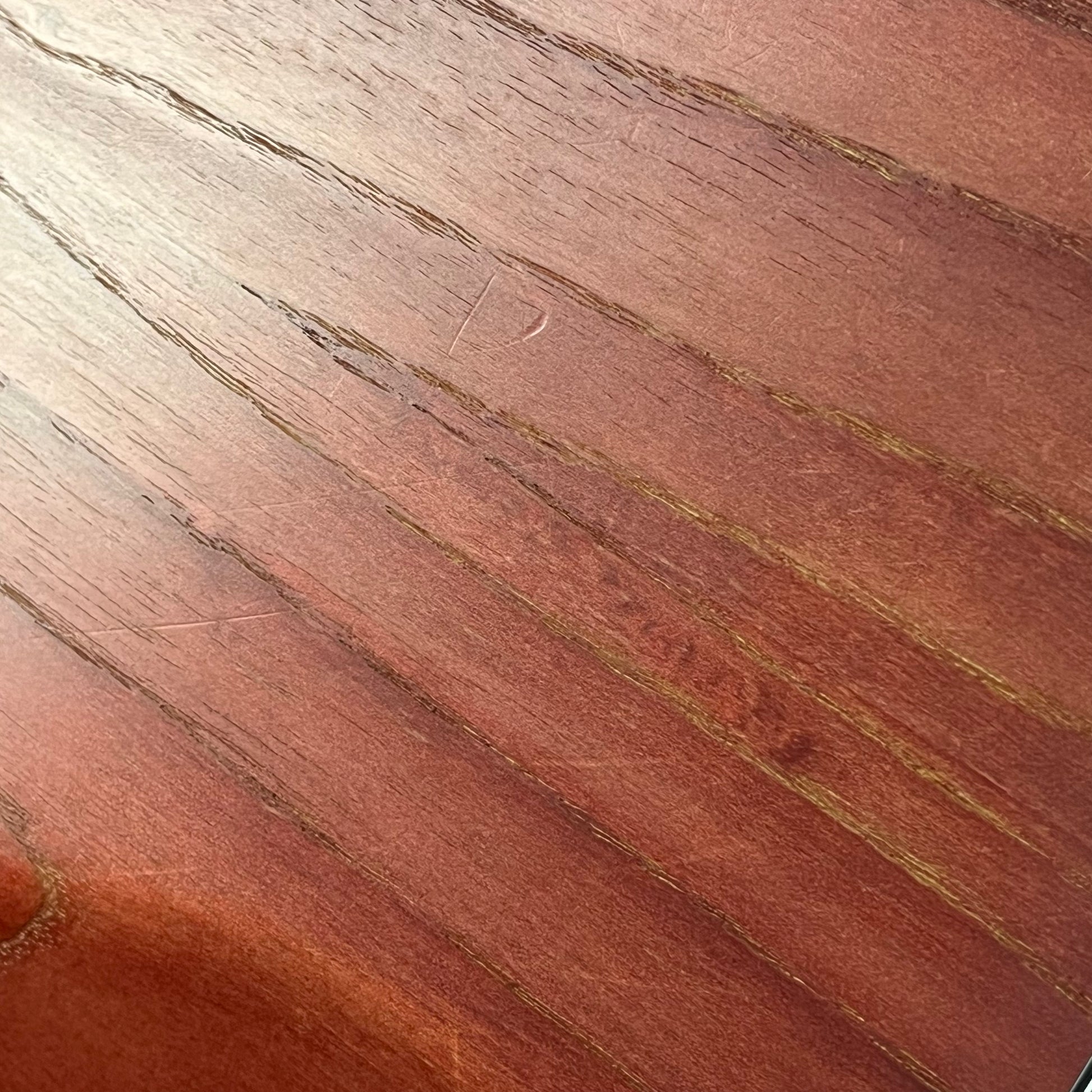 Bacchus Japan WOODLINE DX4 Bass