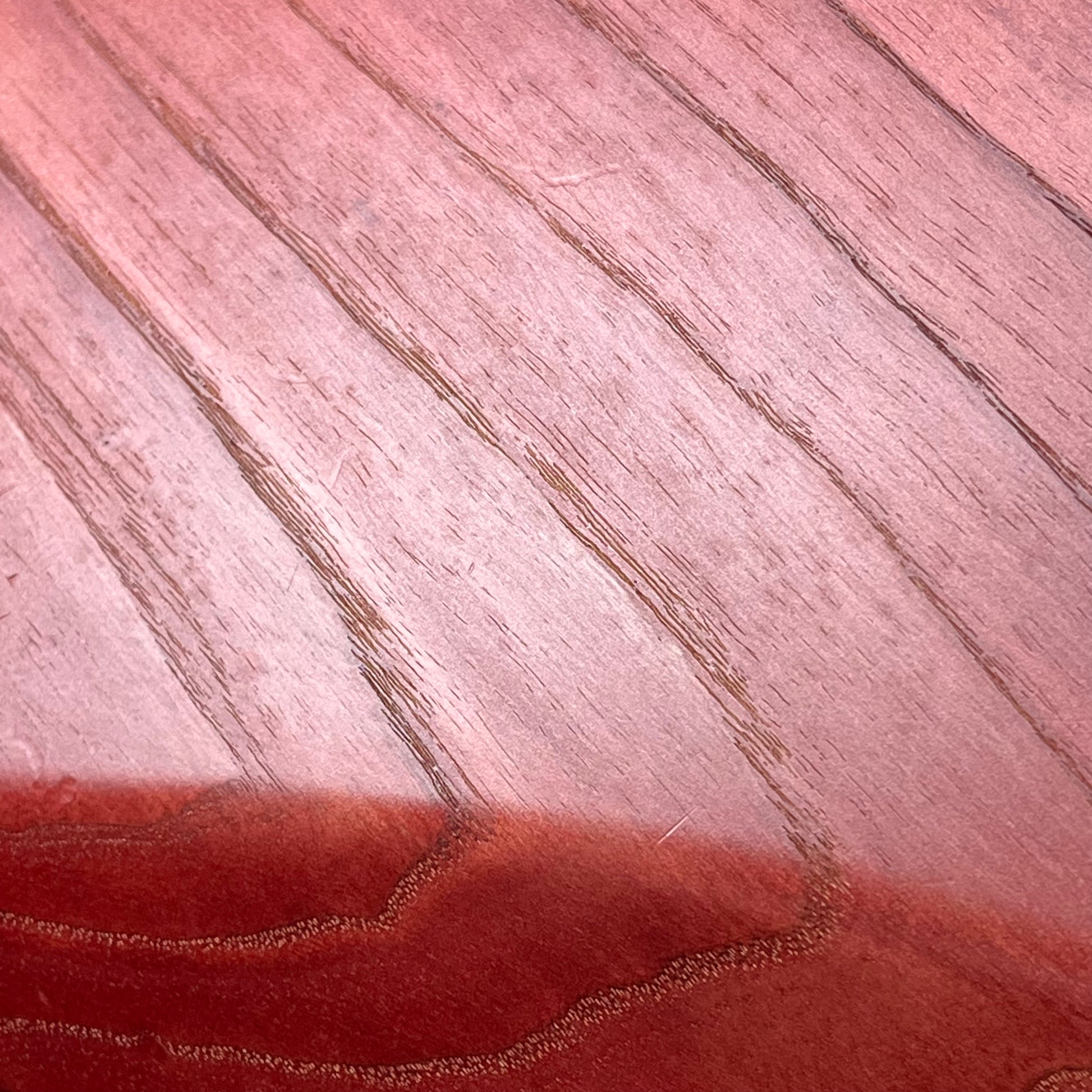 Bacchus Japan WOODLINE DX4 Bass