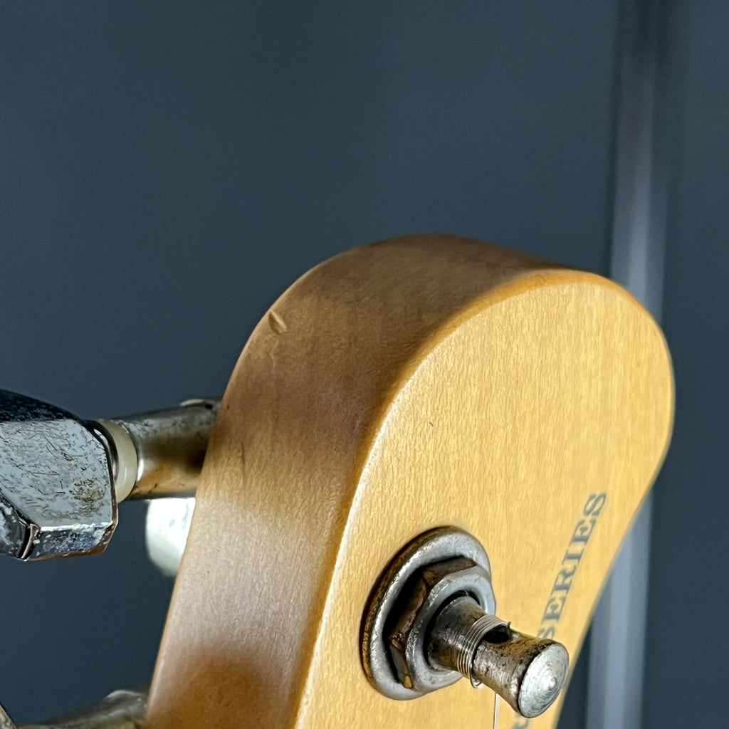 Bacchus Universe Series Telecaster