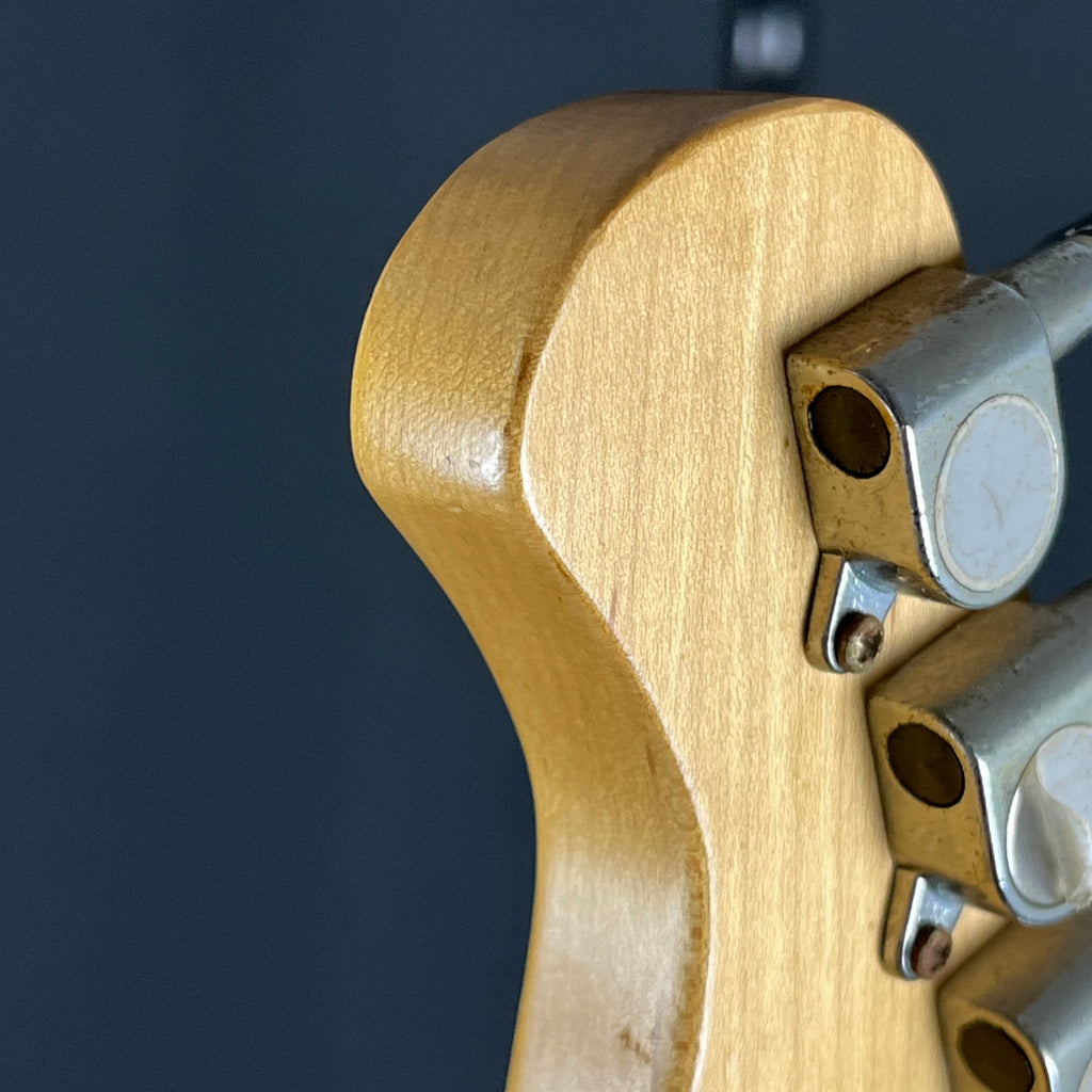 Bacchus Universe Series Telecaster