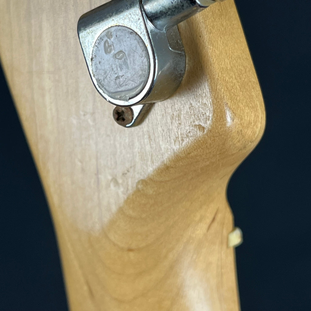 Bacchus Universe Series Telecaster