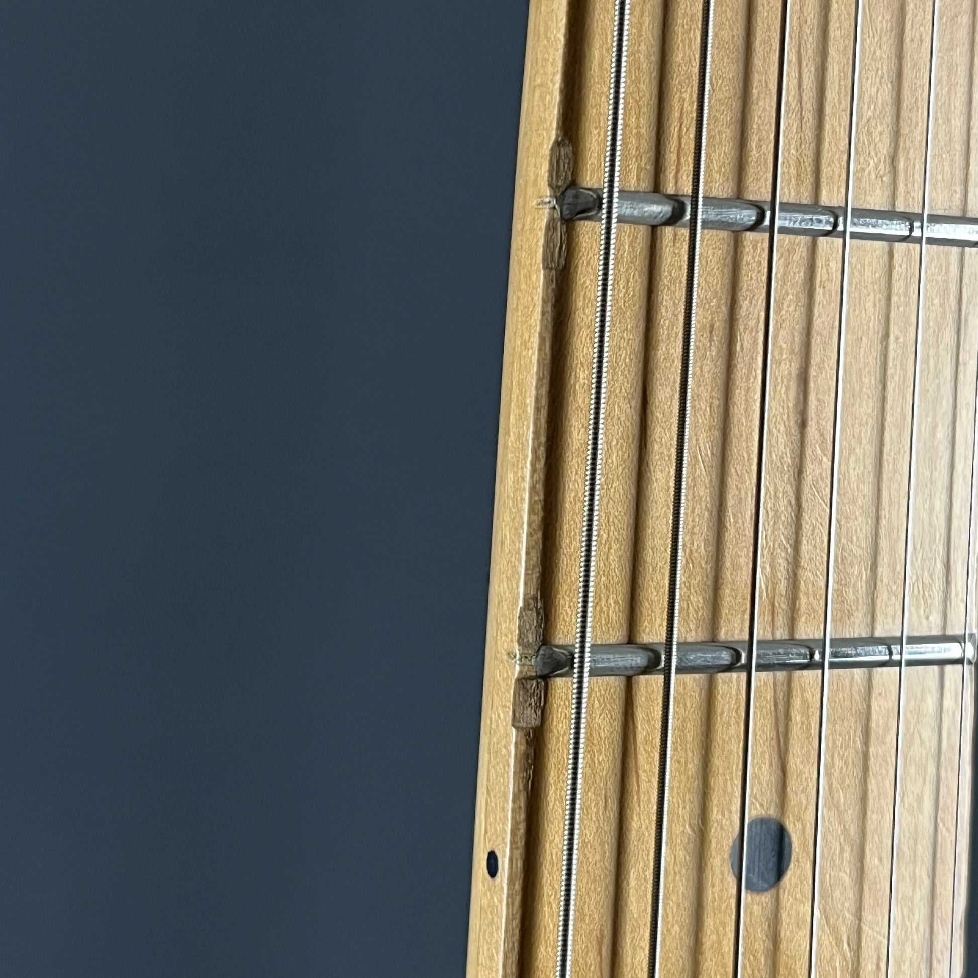 Bacchus Universe Series Telecaster