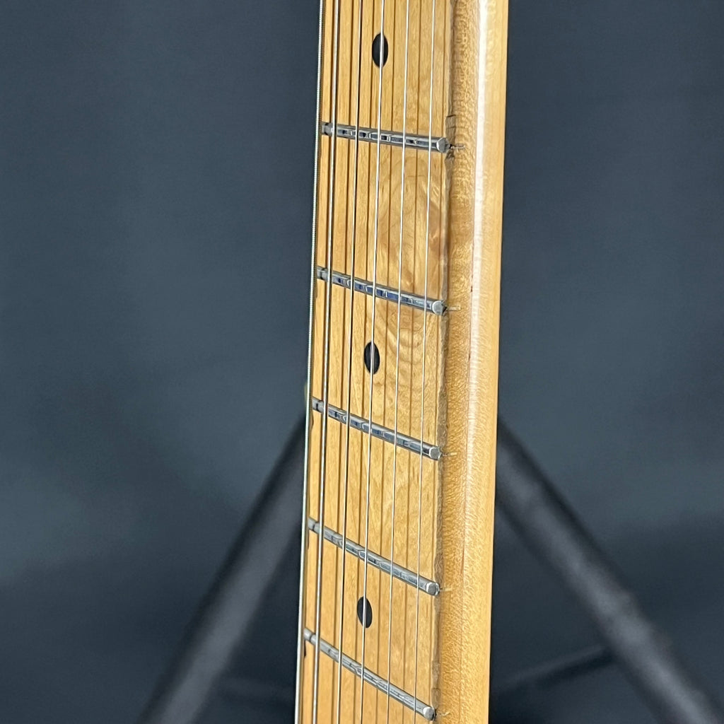 Bacchus Universe Series Telecaster