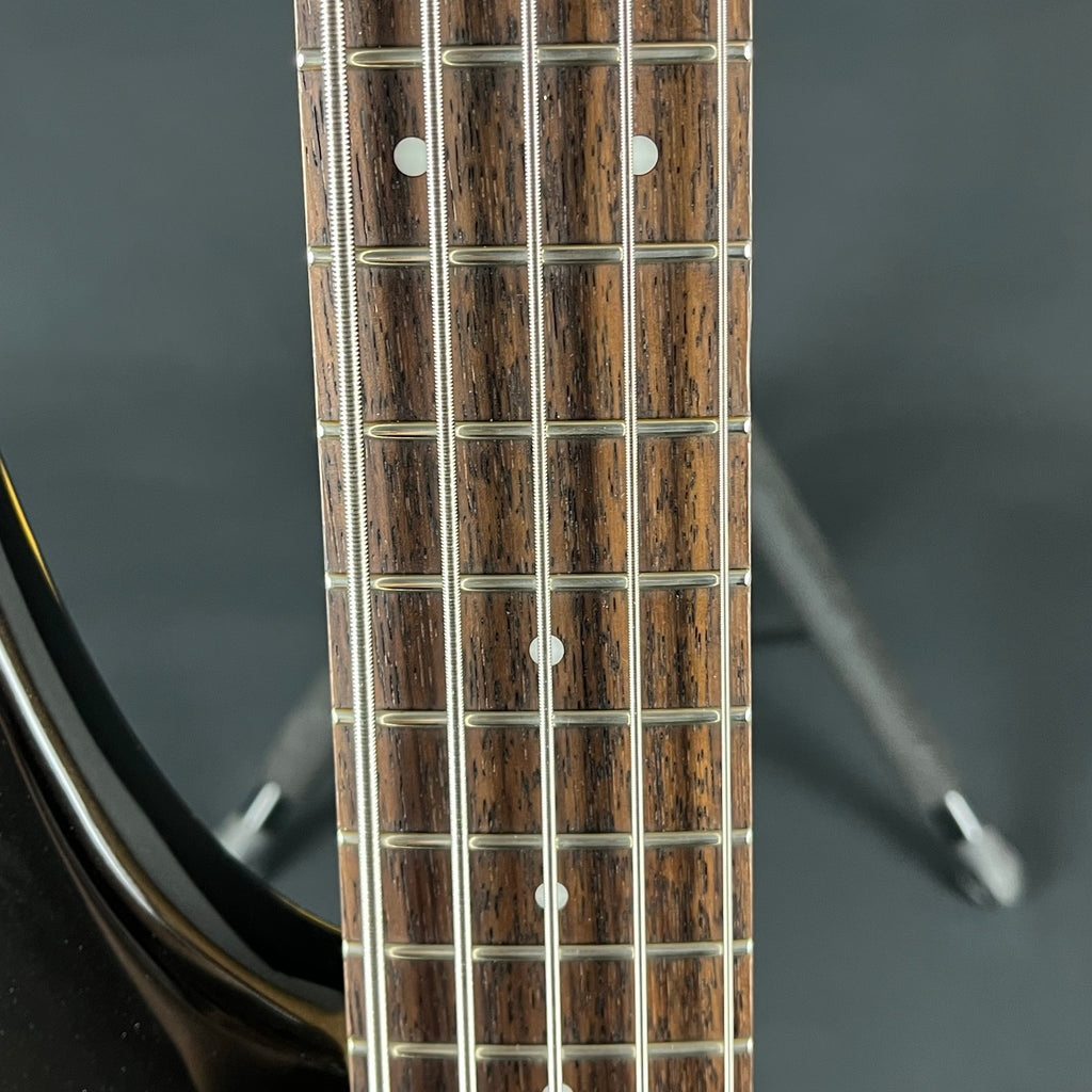 Ibanez SR305 Bass