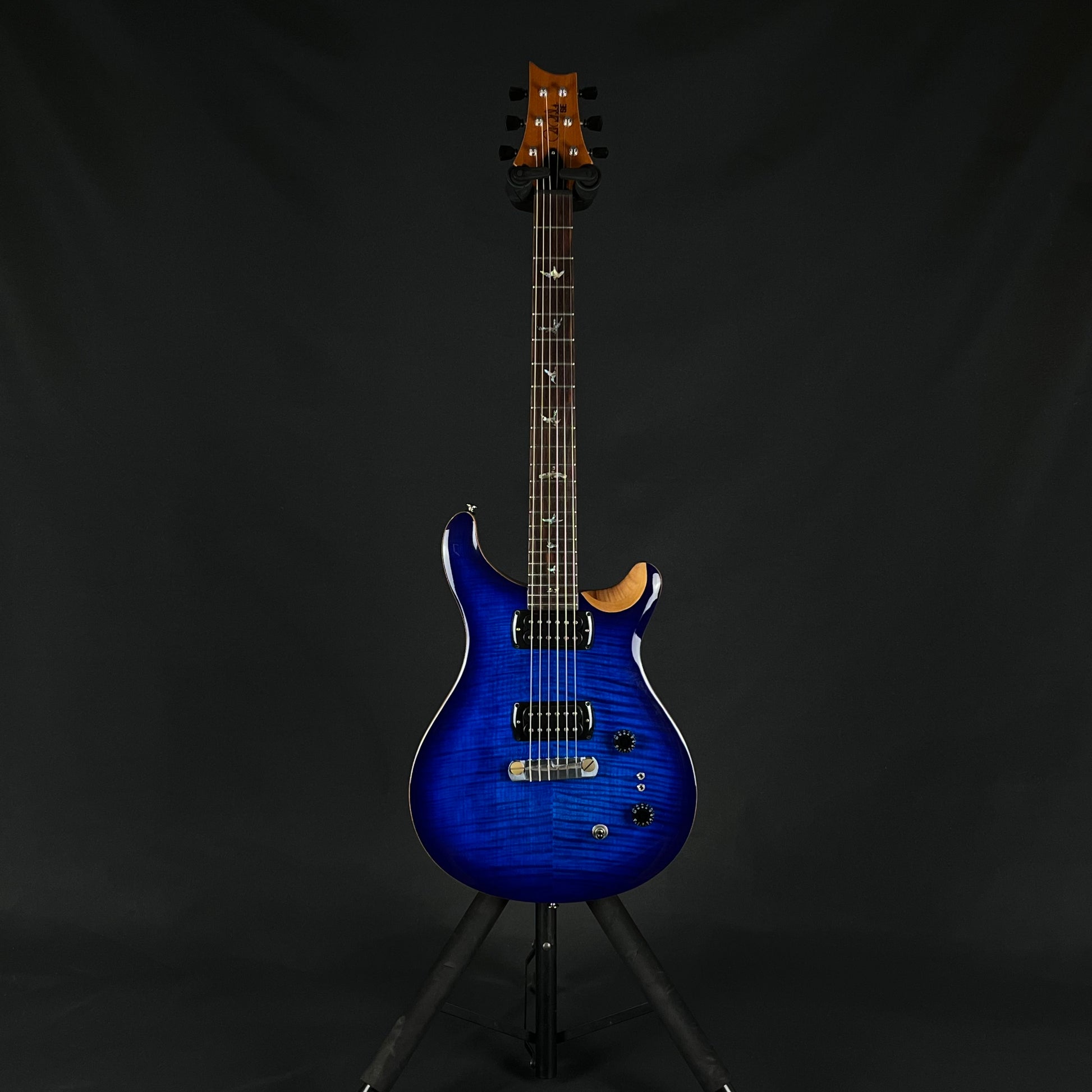 PRS SE Paul's Guitar