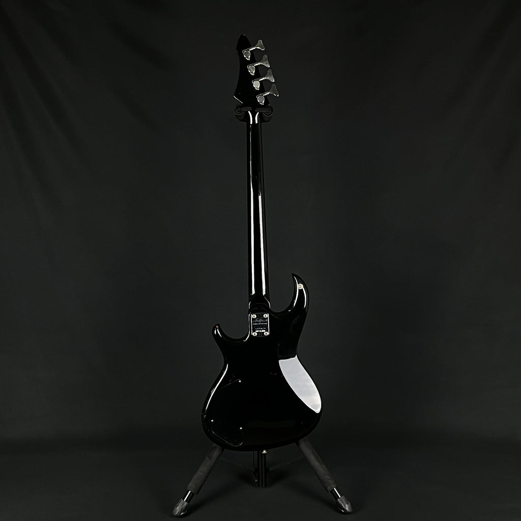 Aria Pro II RSB Series Bass