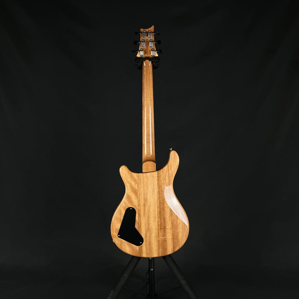 PRS SE Paul's Guitar