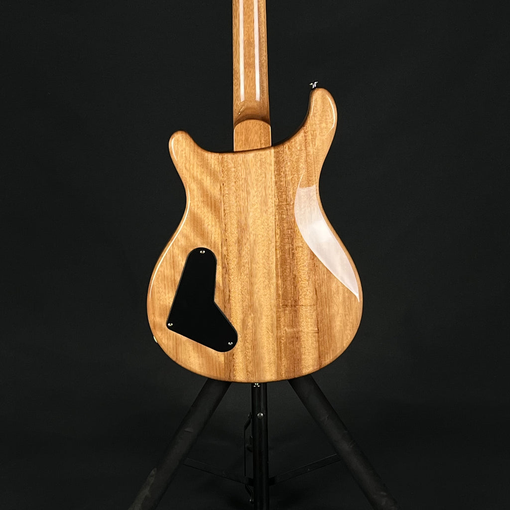 PRS SE Paul's Guitar