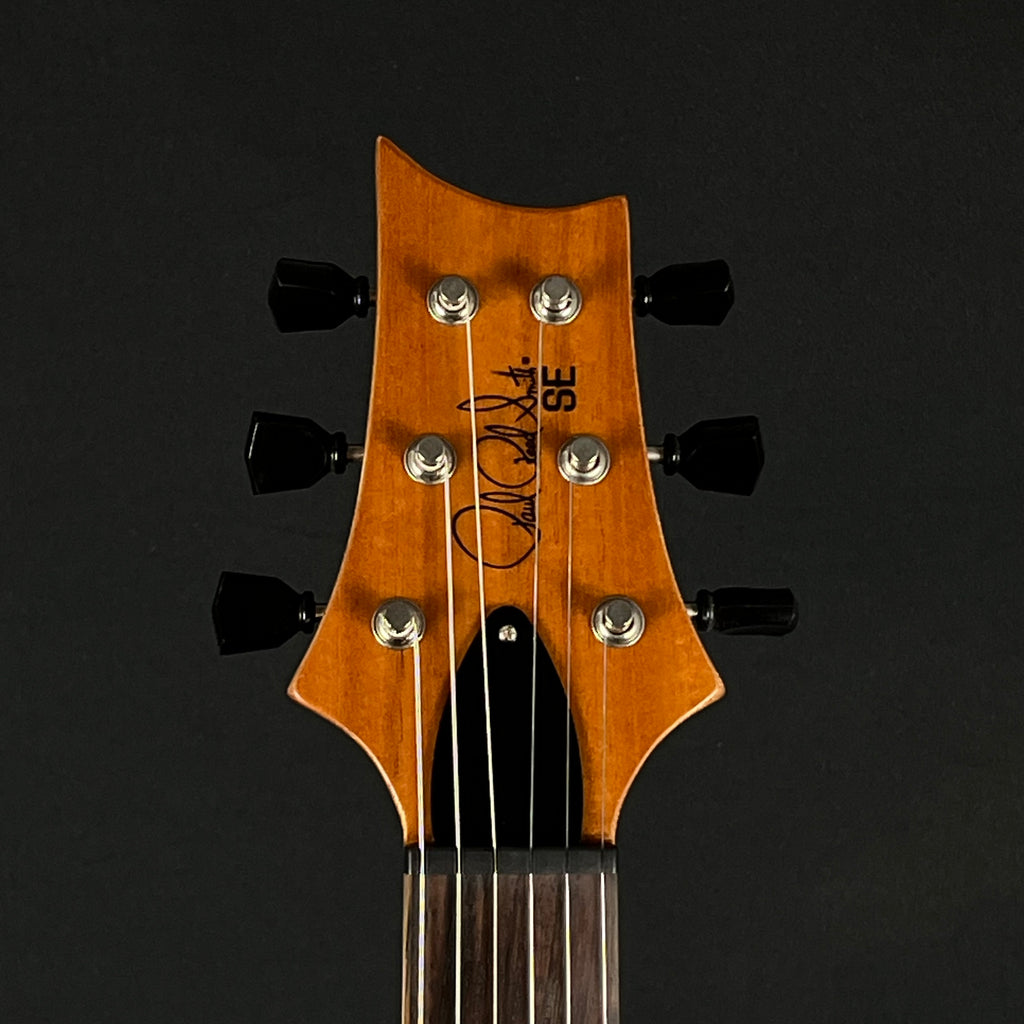 PRS SE Paul's Guitar