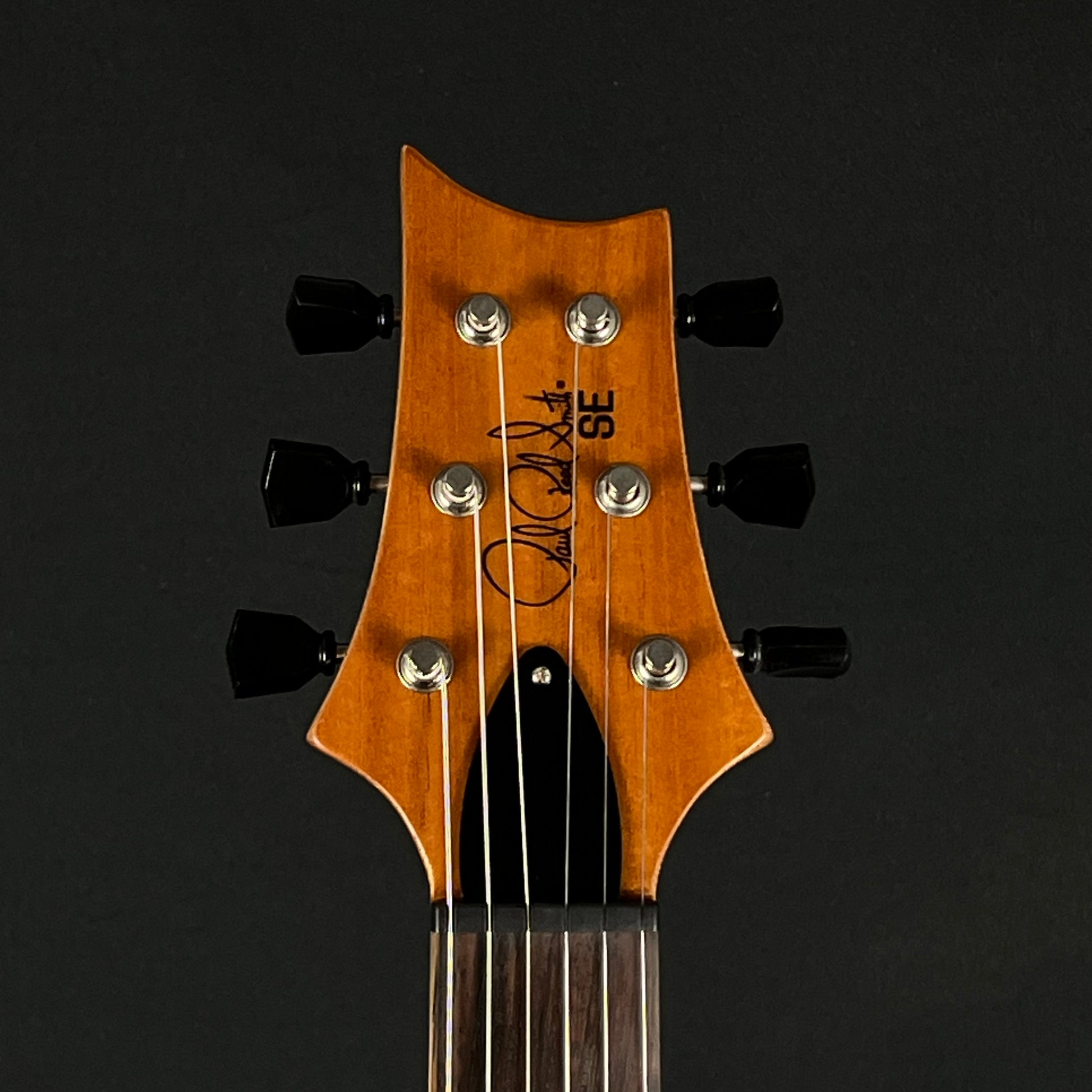 PRS SE Paul's Guitar
