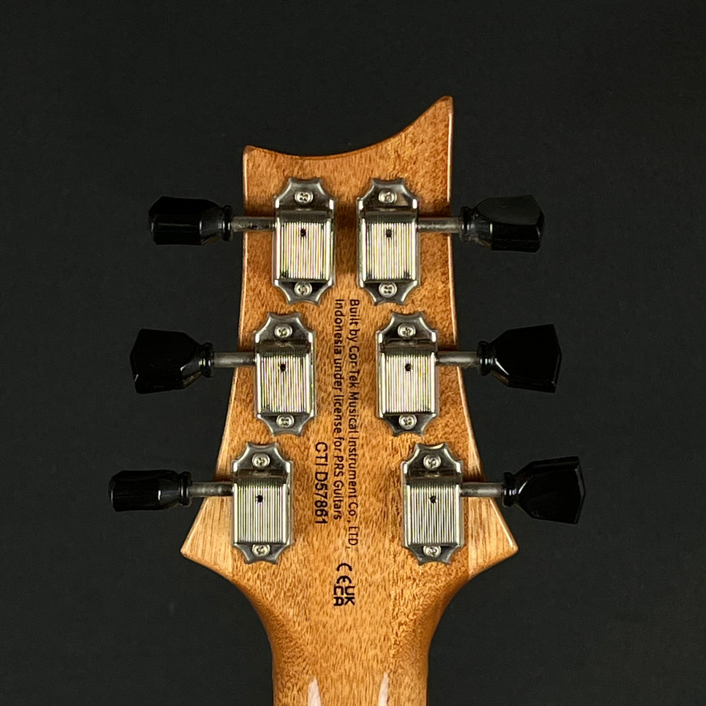 PRS SE Paul's Guitar