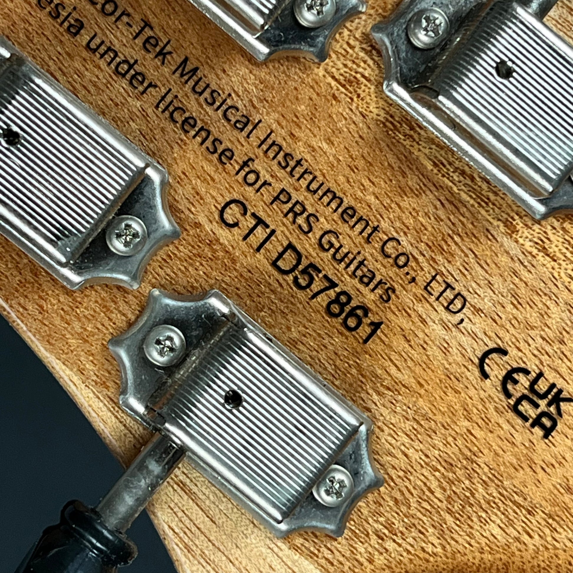 PRS SE Paul's Guitar
