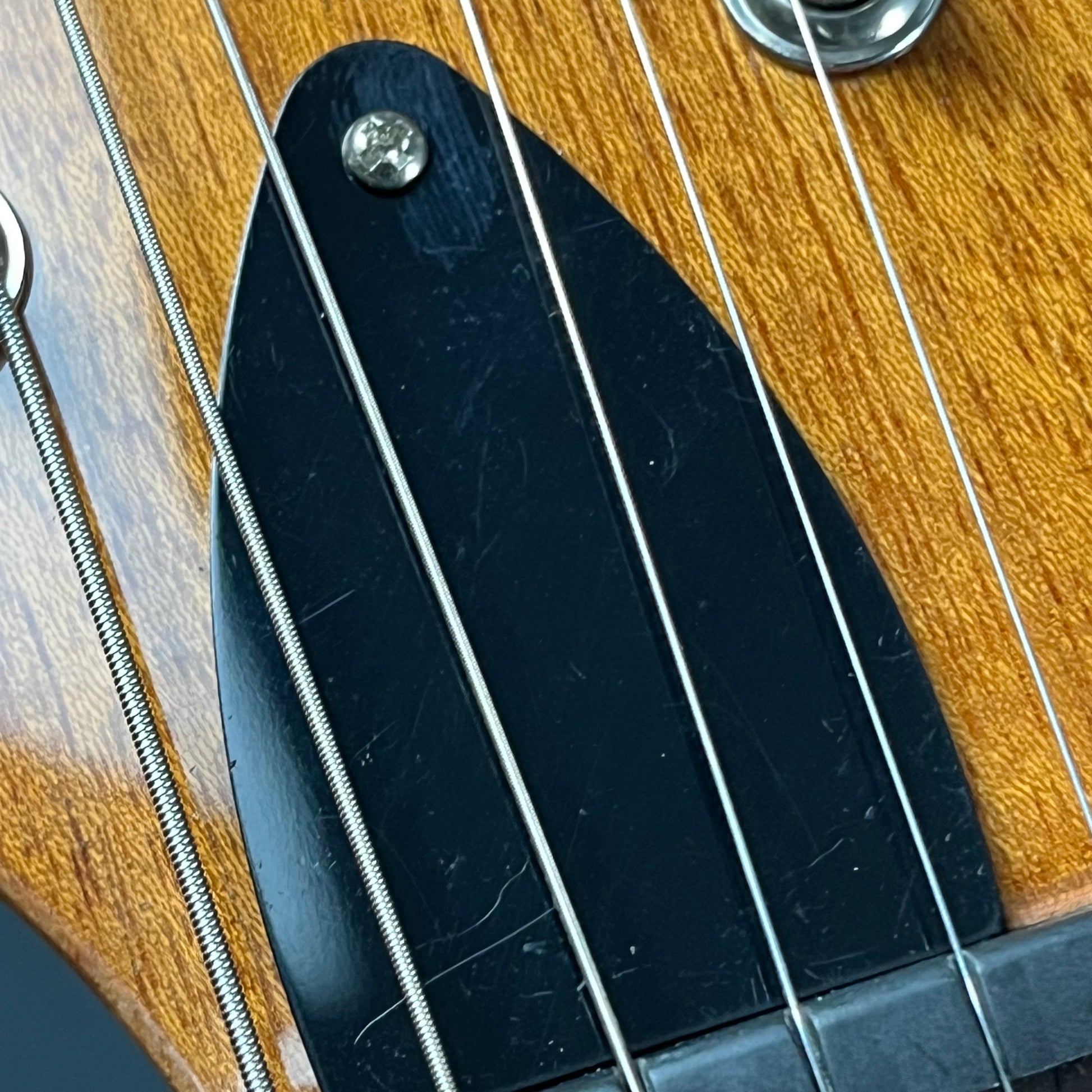 PRS SE Paul's Guitar