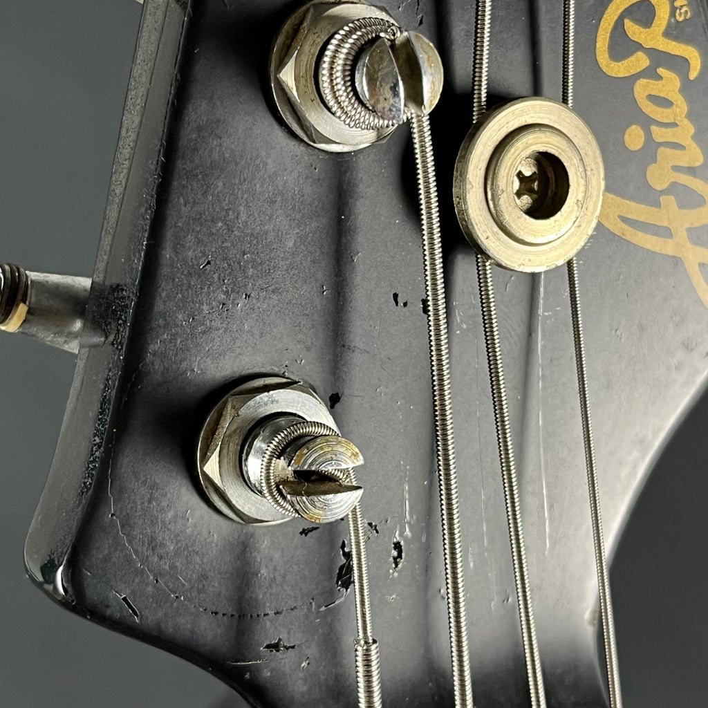 Aria Pro II RSB Series Bass