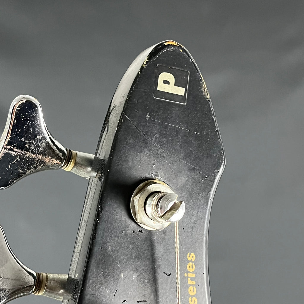 Aria Pro II RSB Series Bass