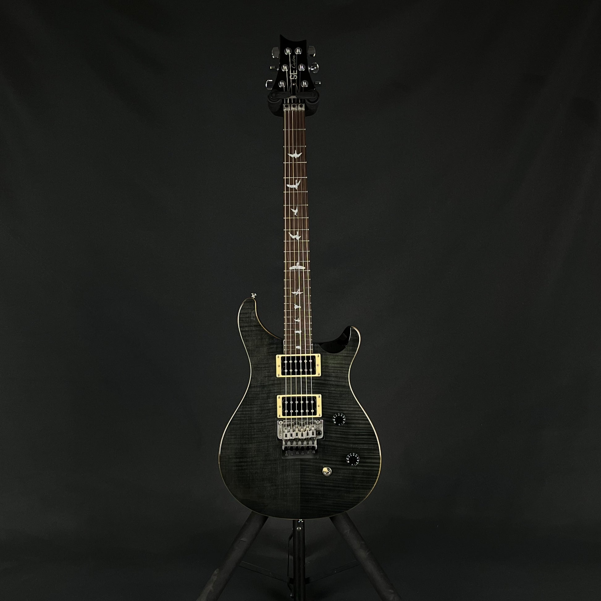 PRS SE Custom 24 Floydrose 2014