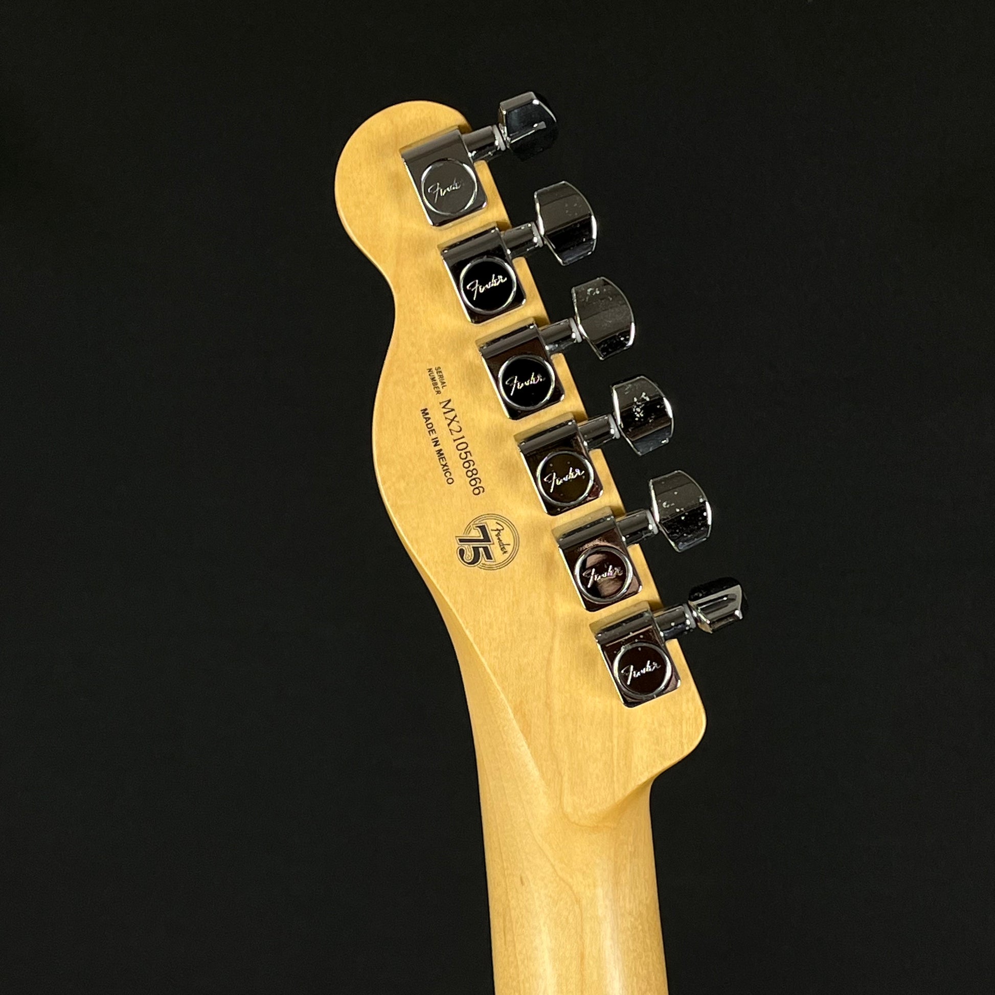 Fender Player Telecaster MN BLK