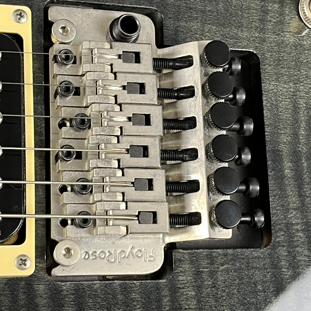 PRS SE Custom 24 Floydrose 2014