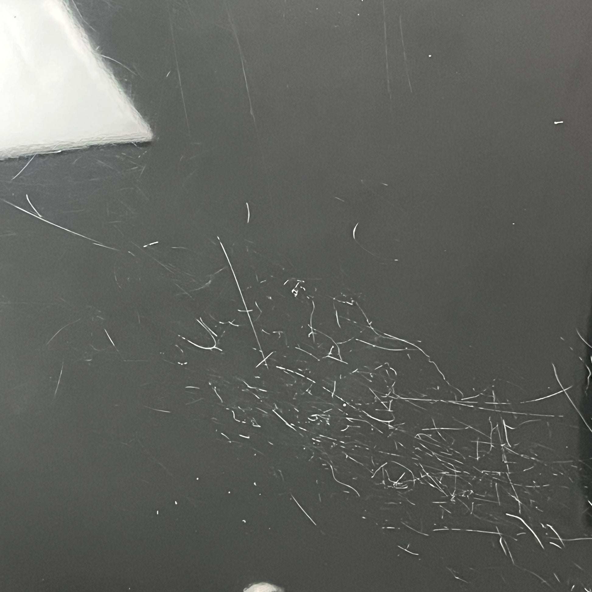 Epiphone DOT EB 2015