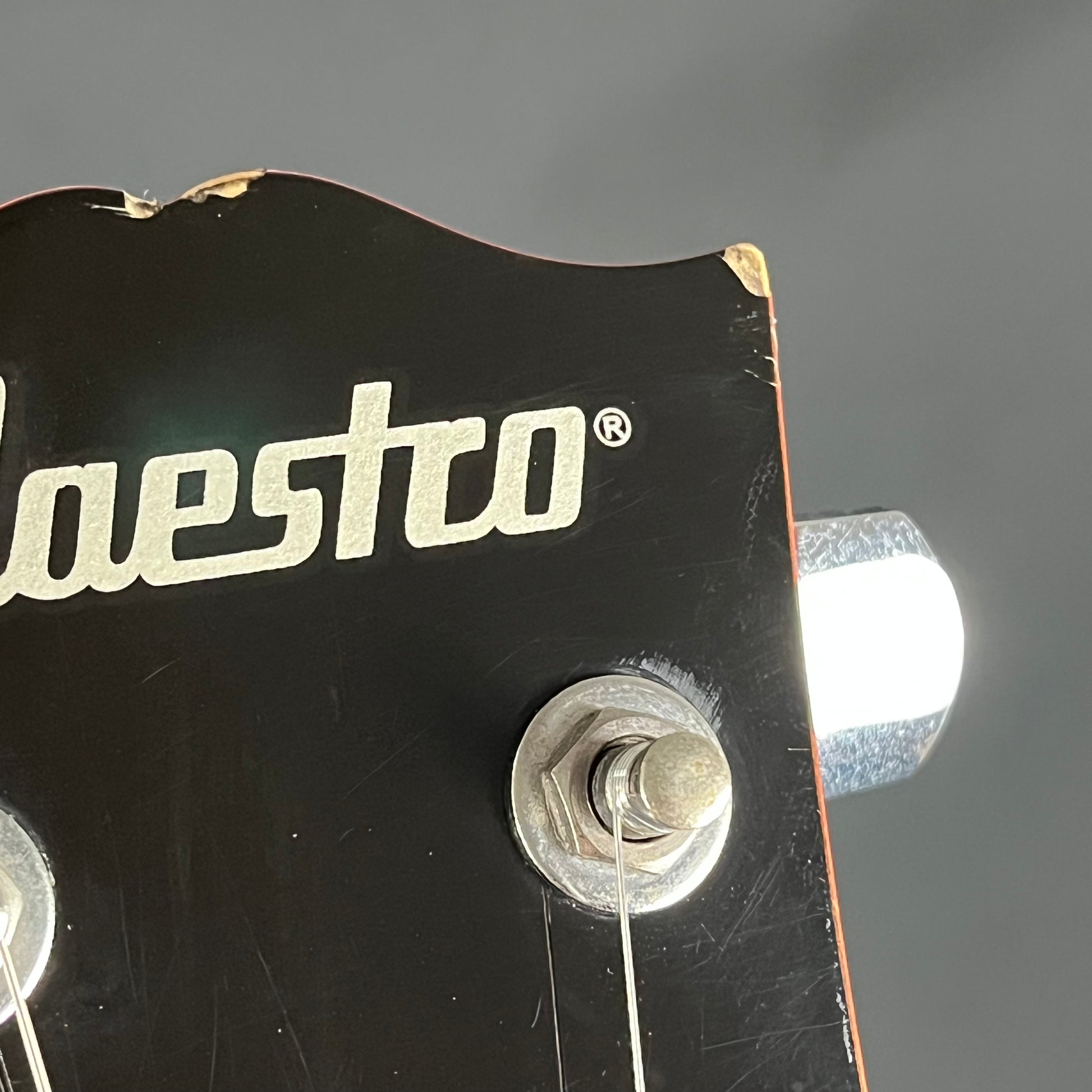 Maestro by Gibson Les Paul