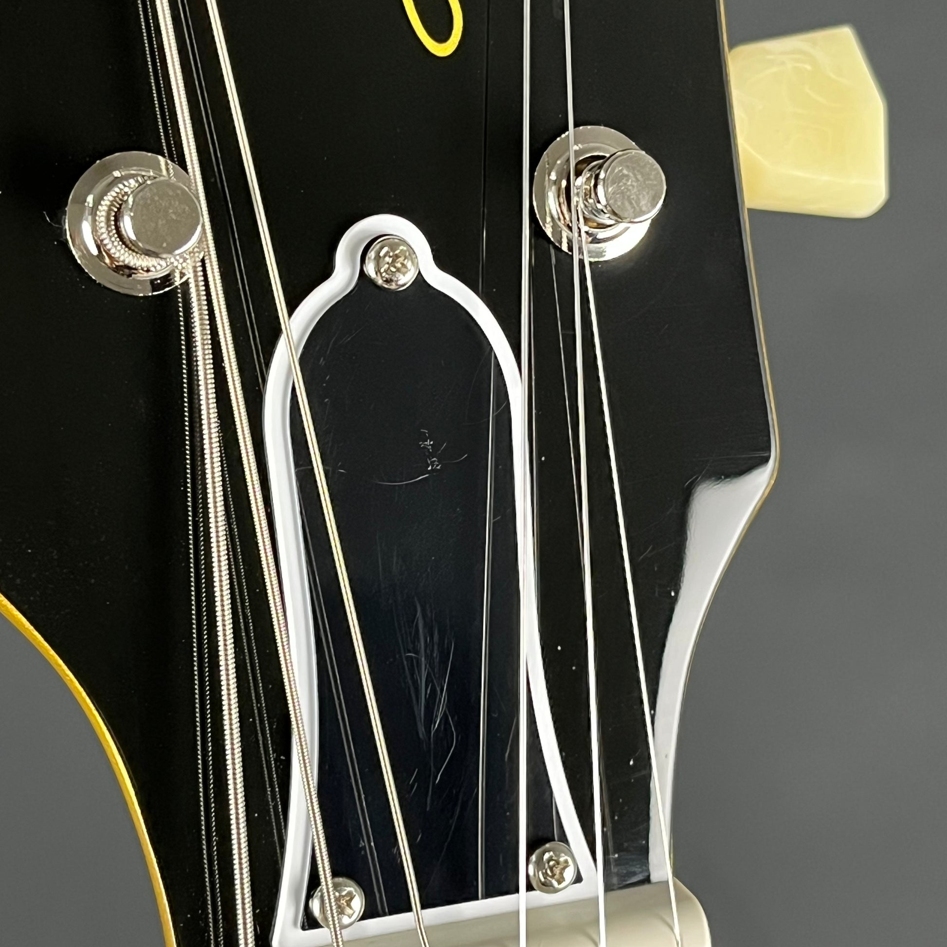 Epiphone Tak Matsumoto 1955 Les Paul Standard Antique Gold