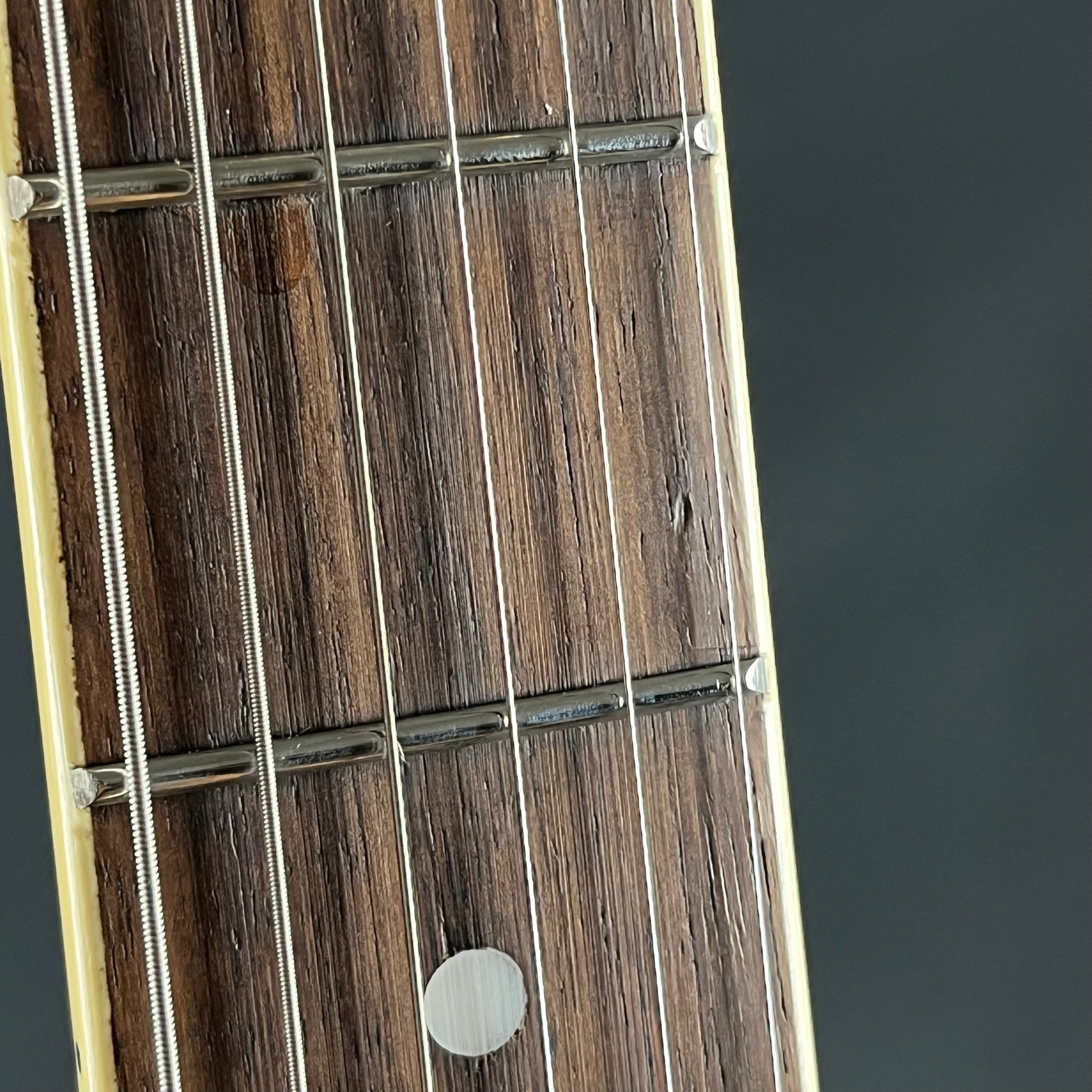 Maestro by Gibson Les Paul