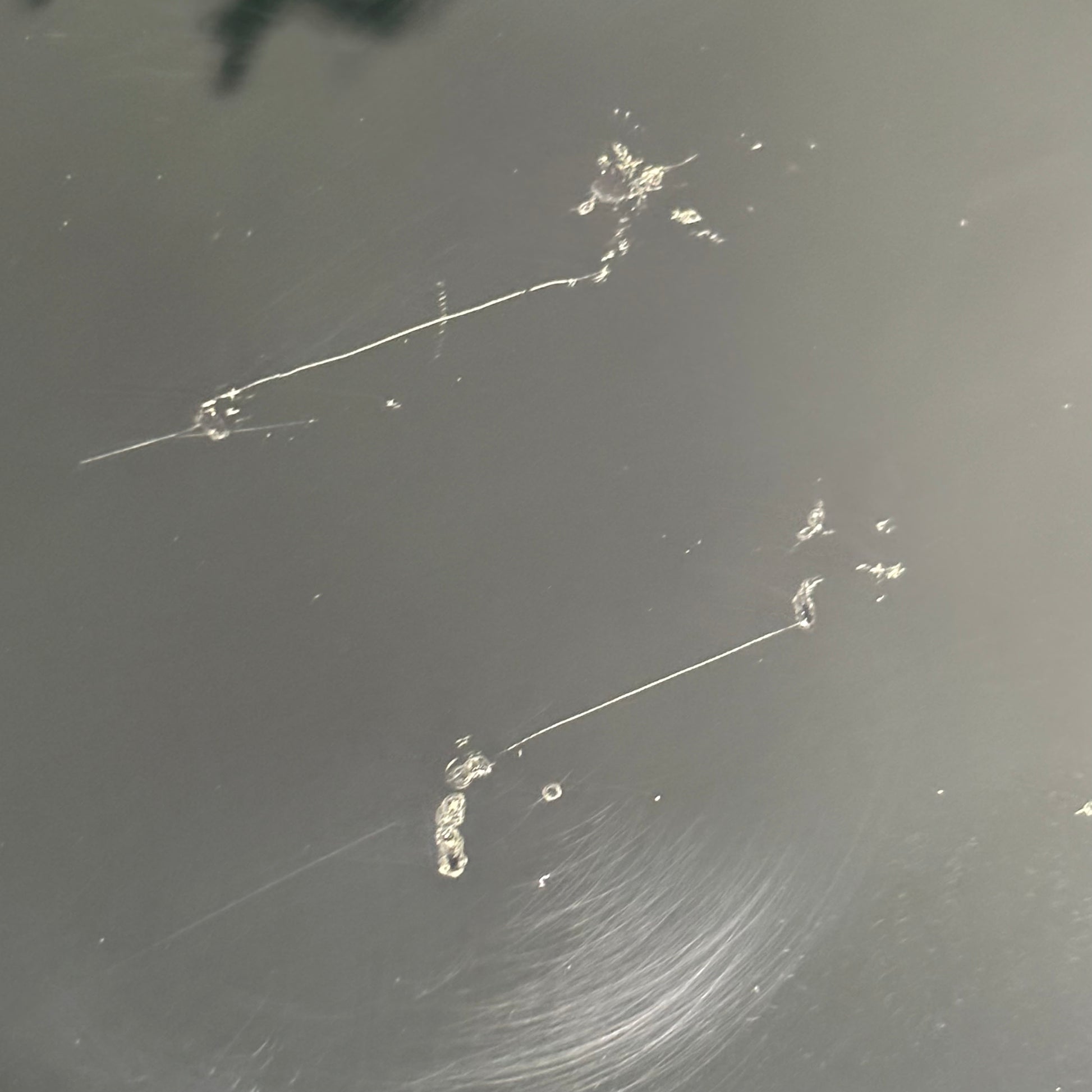 Epiphone Les Paul Custom *คอร้าว*