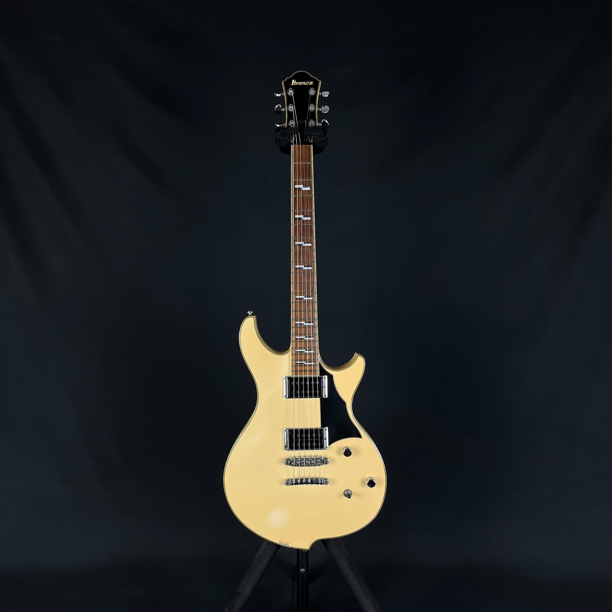 Ibanez DN500