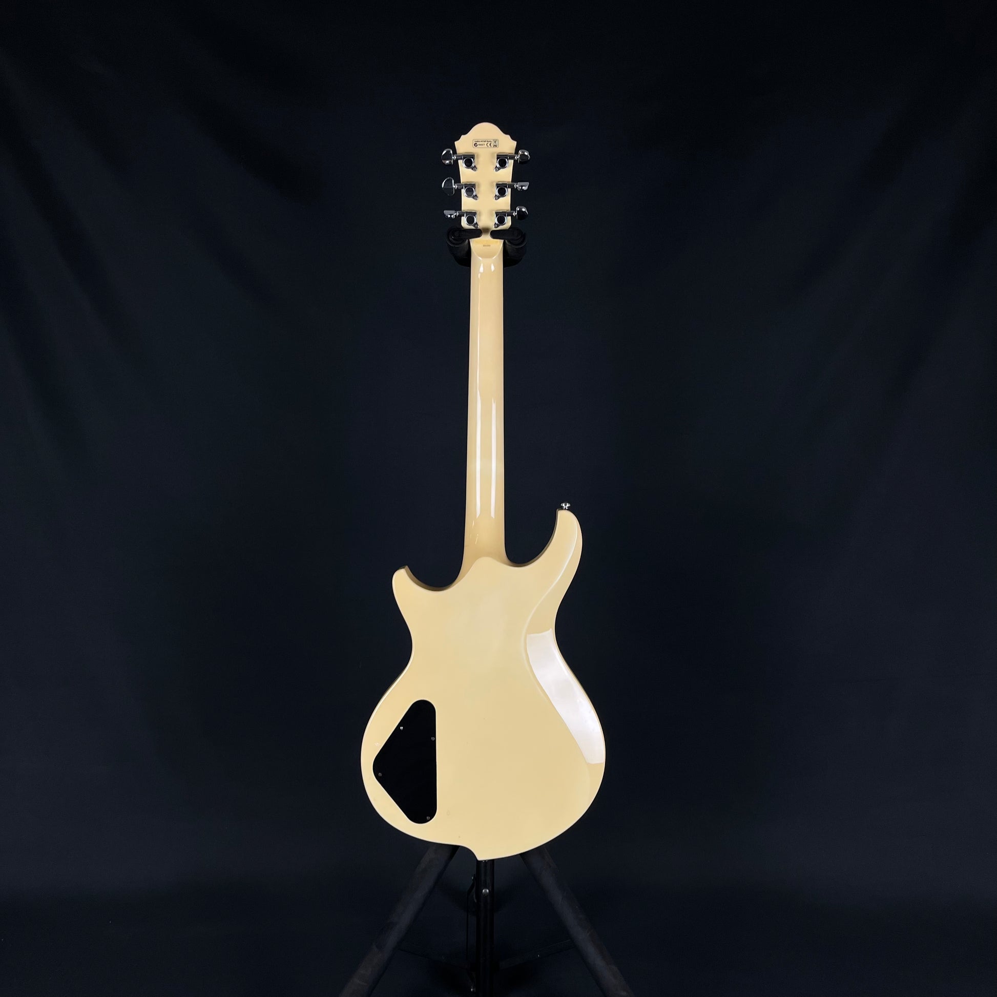 Ibanez DN500