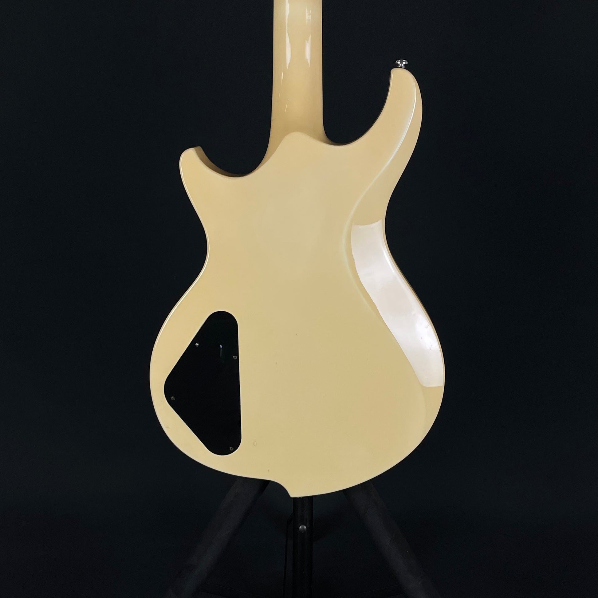 Ibanez DN500