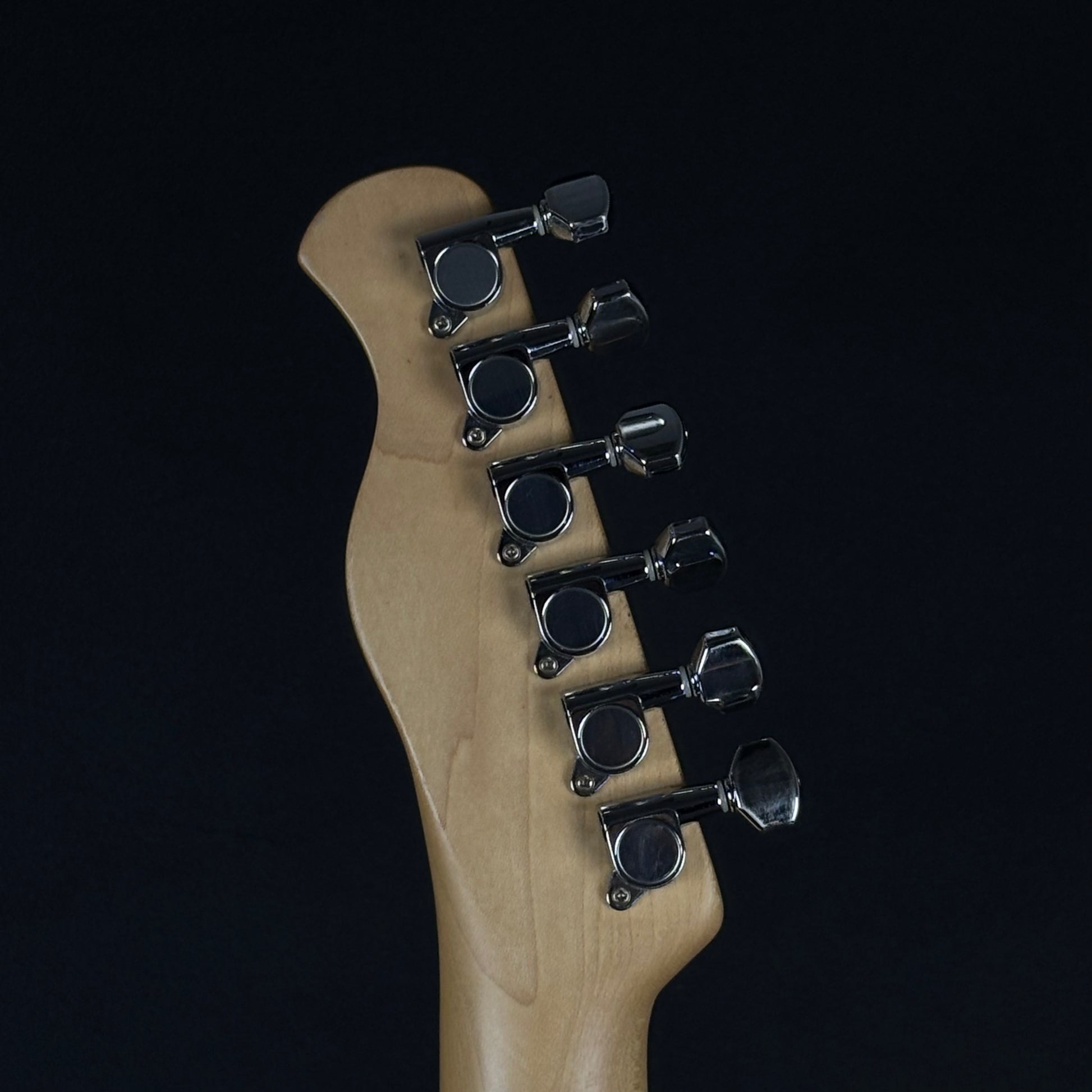 Bacchus Universe Series Telecaster