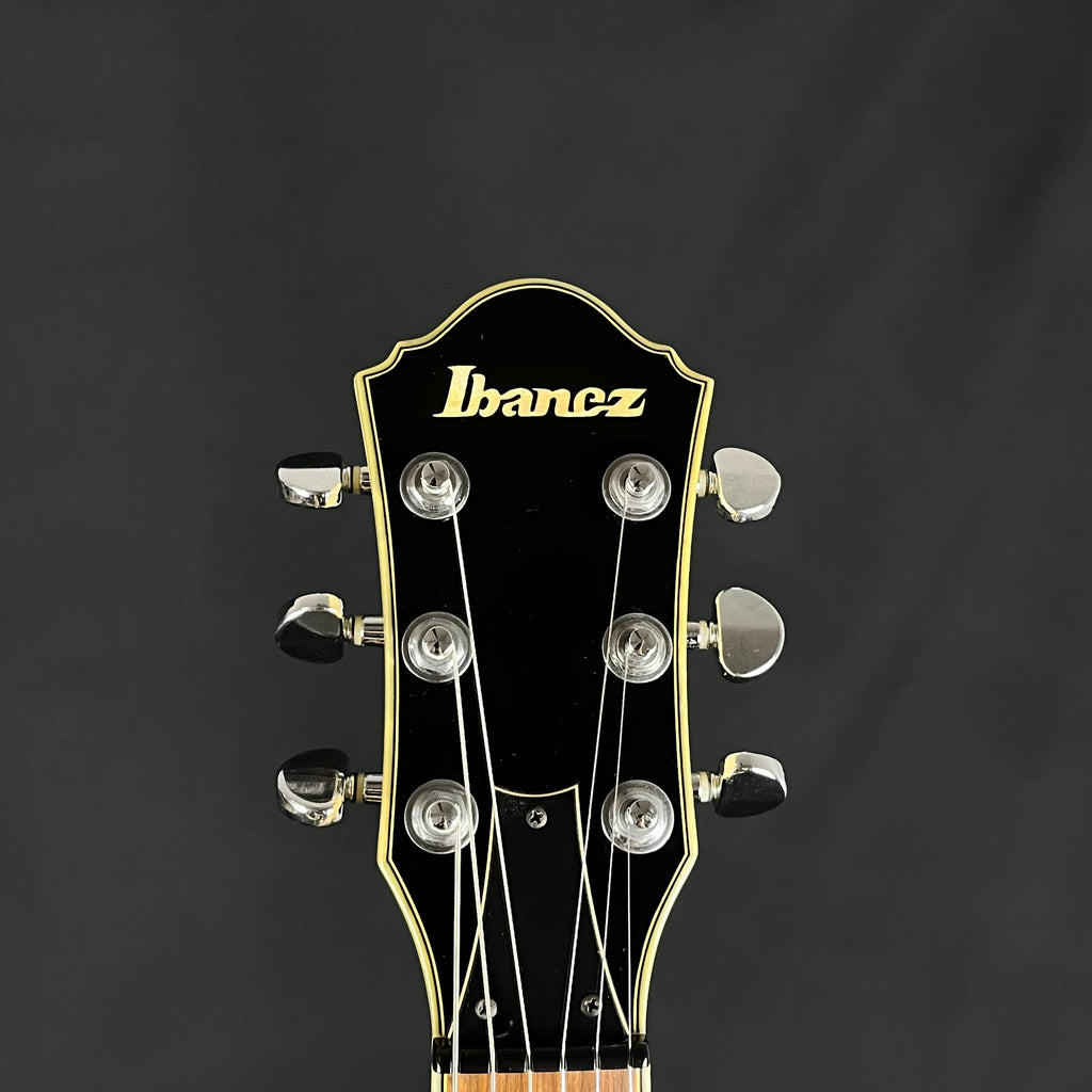 Ibanez DN500