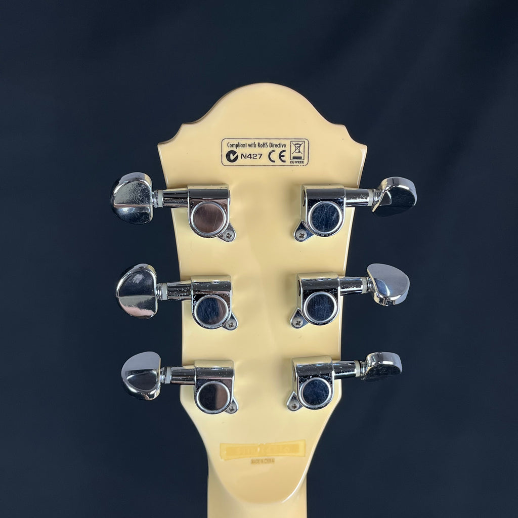 Ibanez DN500