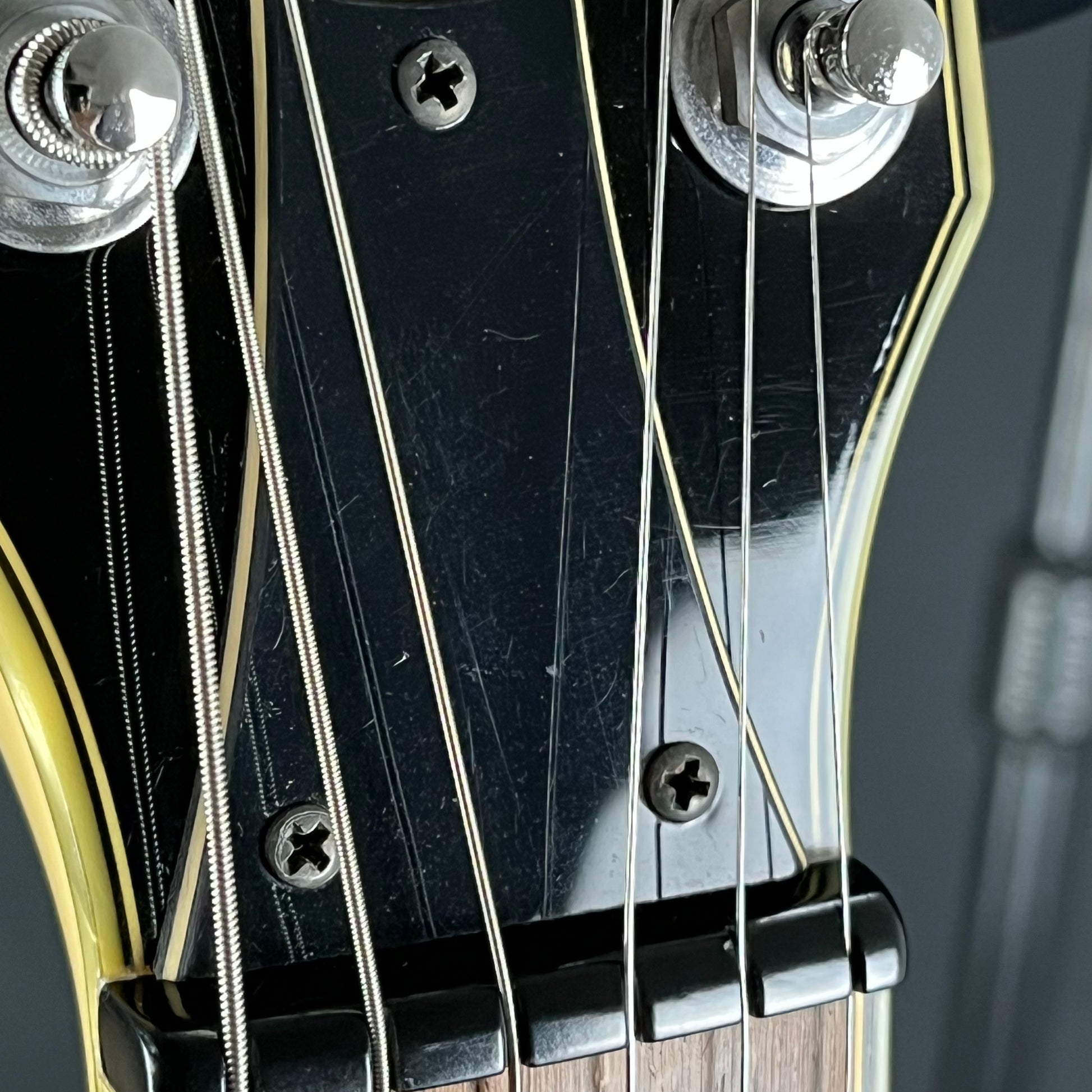Ibanez DN500