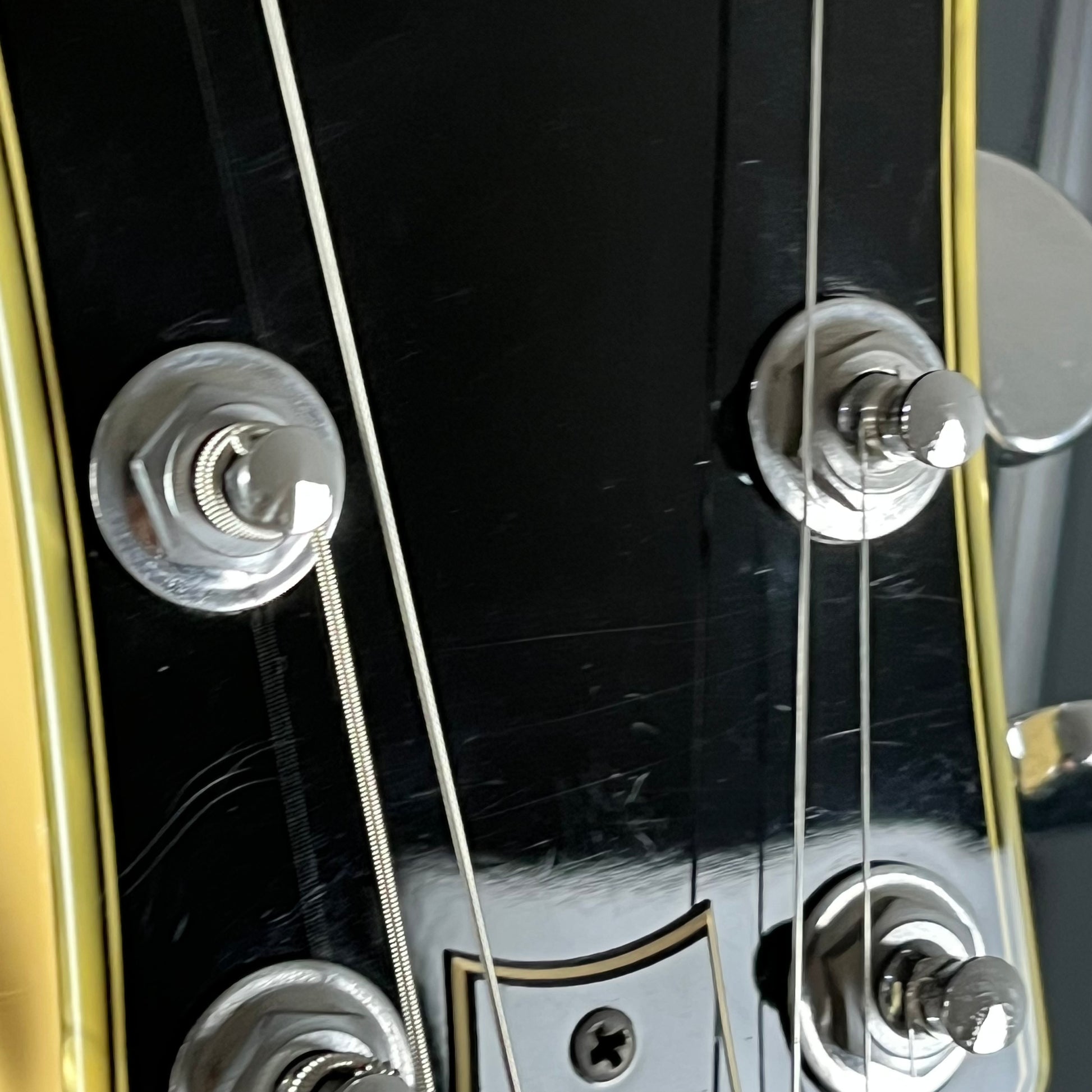 Ibanez DN500