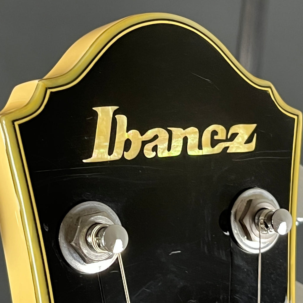 Ibanez DN500