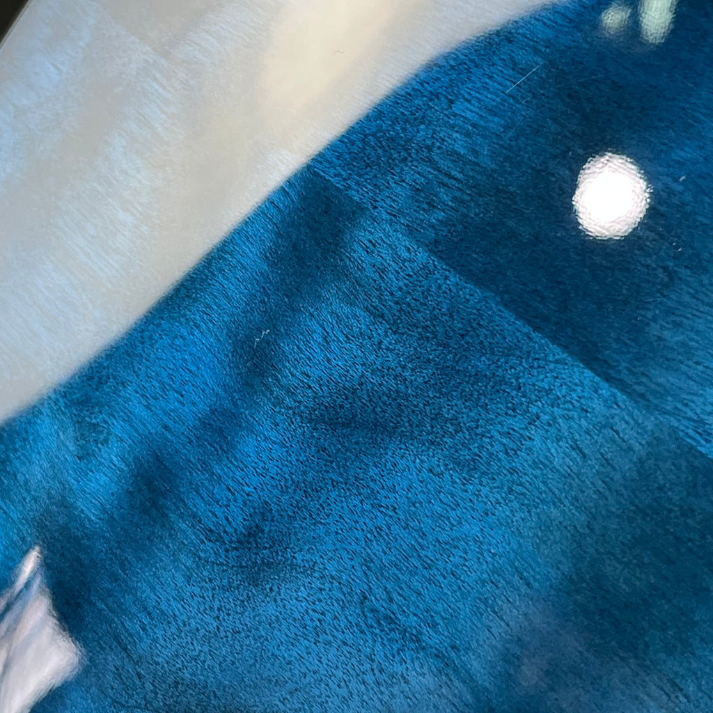 PRS SE Custom 24 Roasted Maple LTD 2019