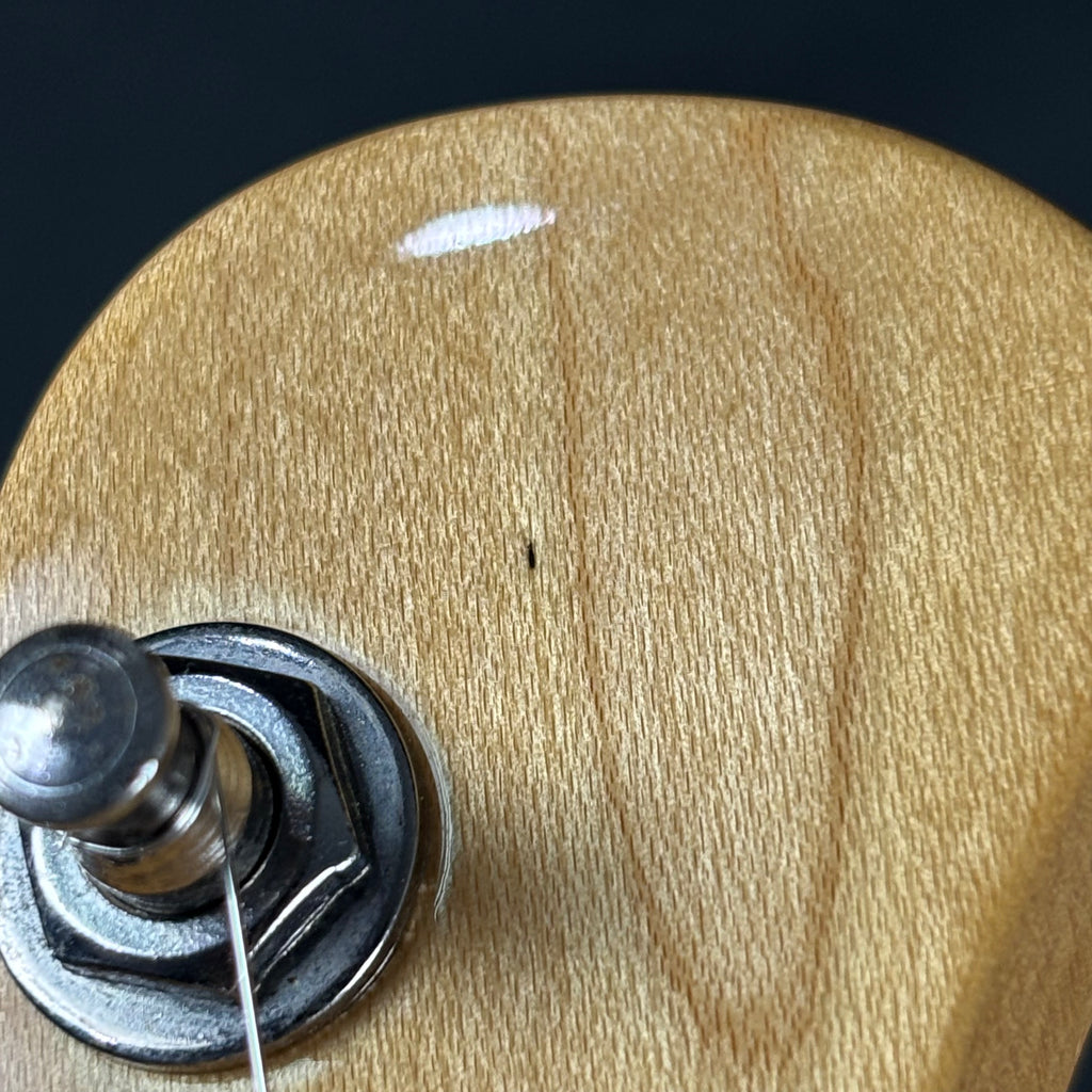 Bacchus Universe Series Telecaster
