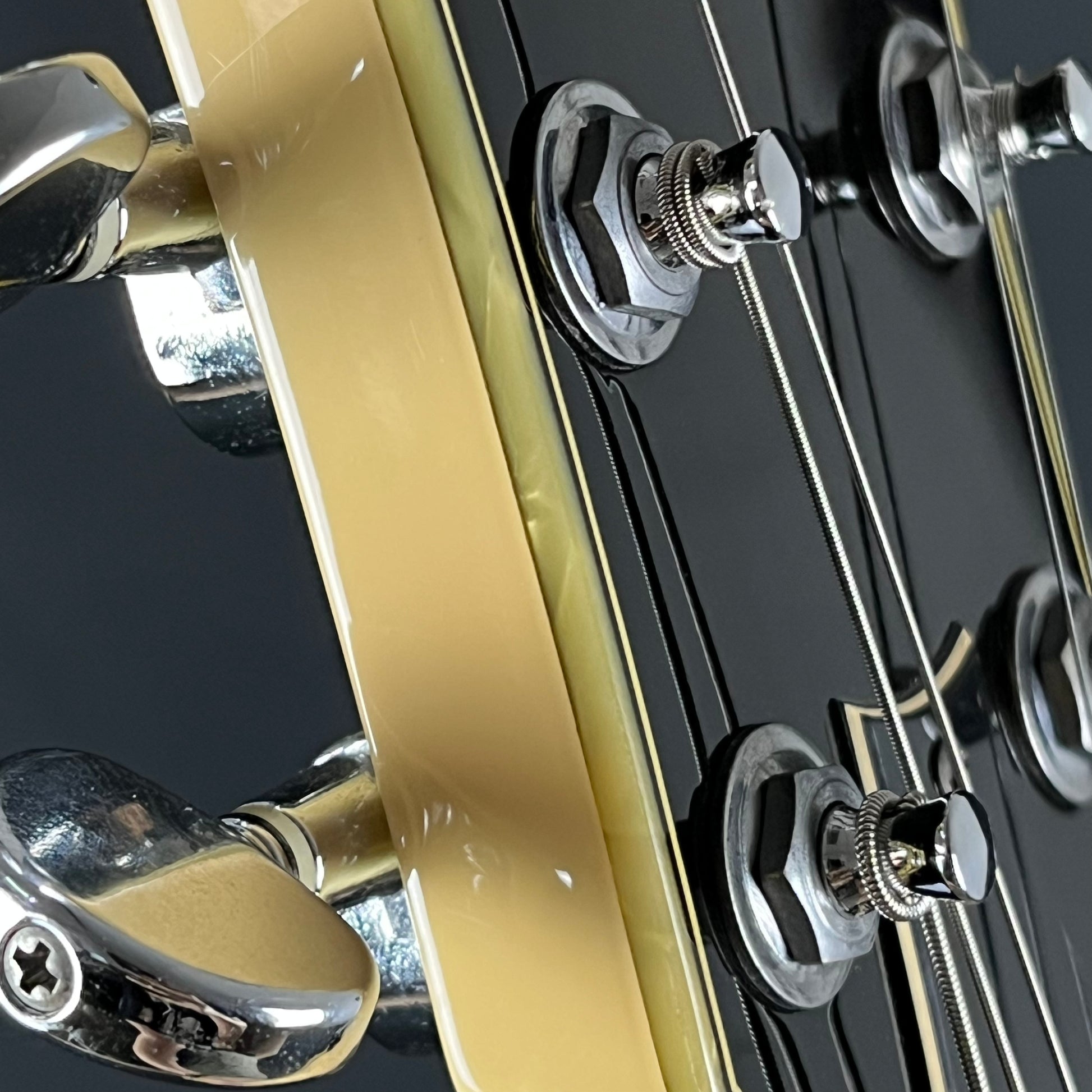 Ibanez DN500