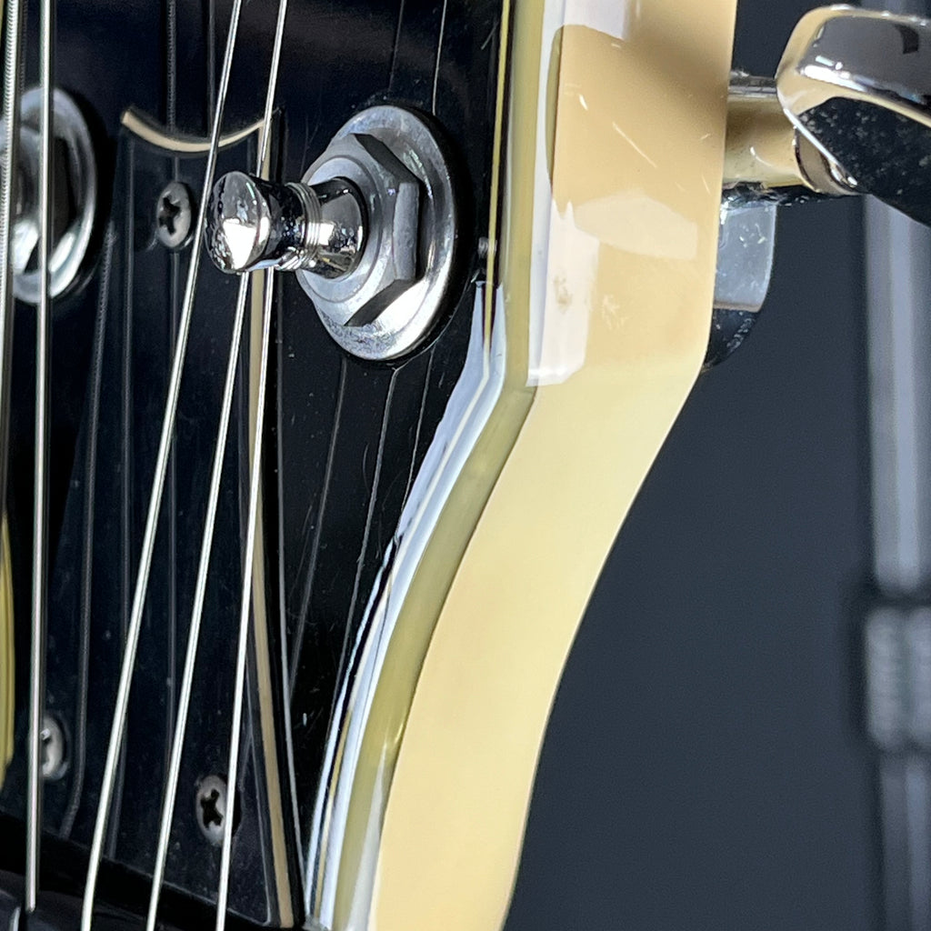 Ibanez DN500