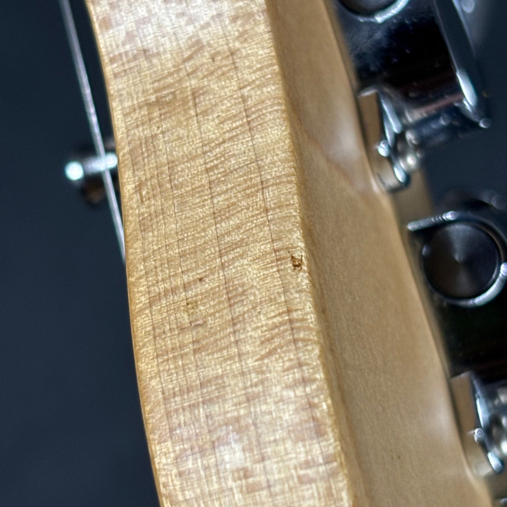 Bacchus Universe Series Telecaster