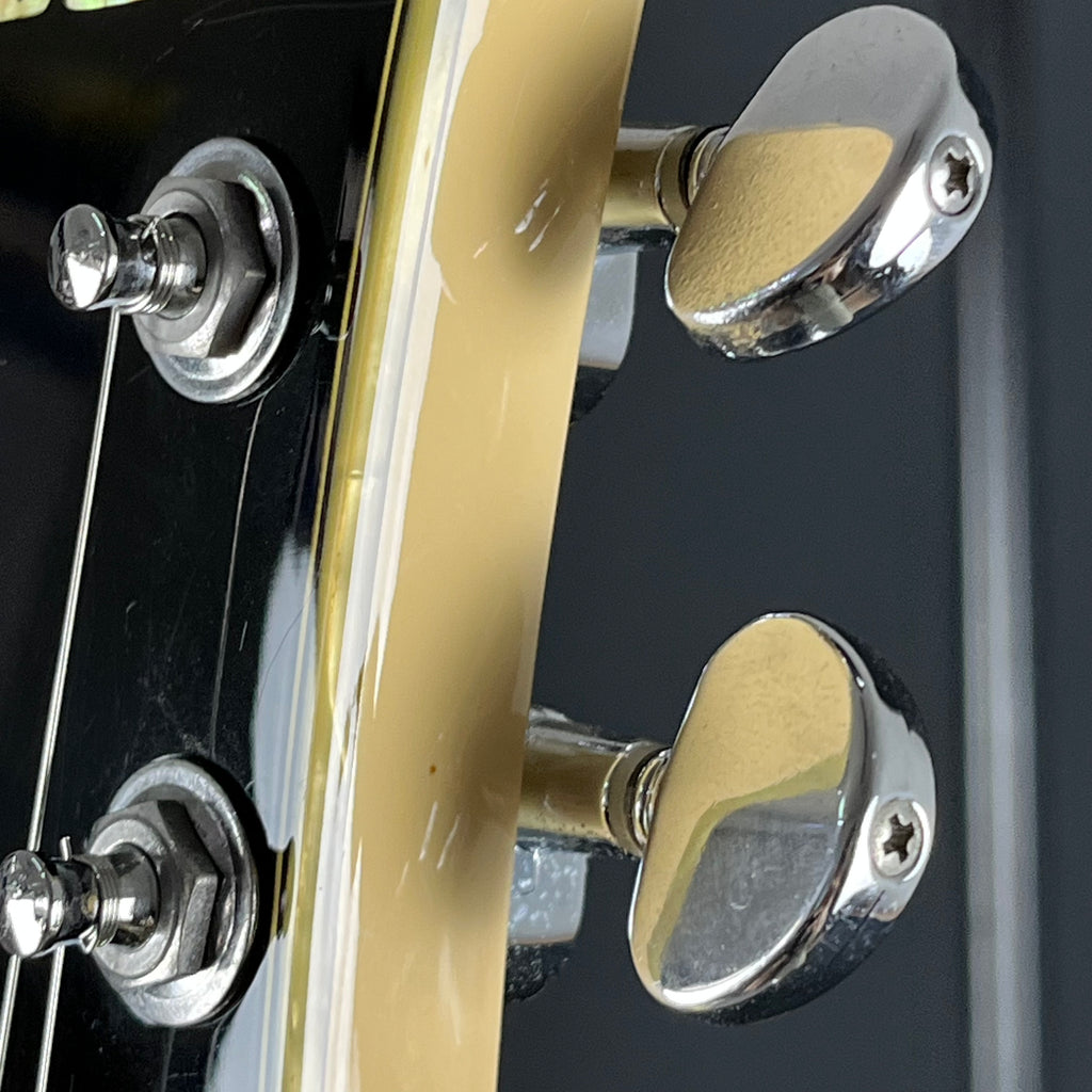 Ibanez DN500