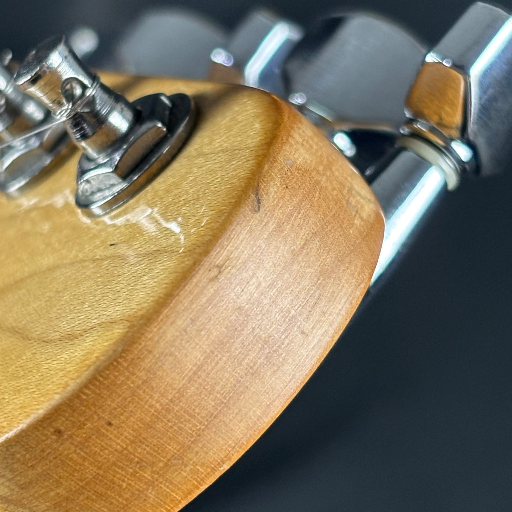 Bacchus Universe Series Telecaster