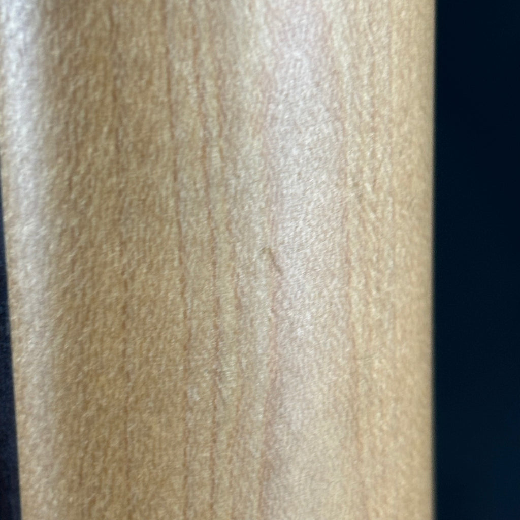 Bacchus Universe Series Telecaster