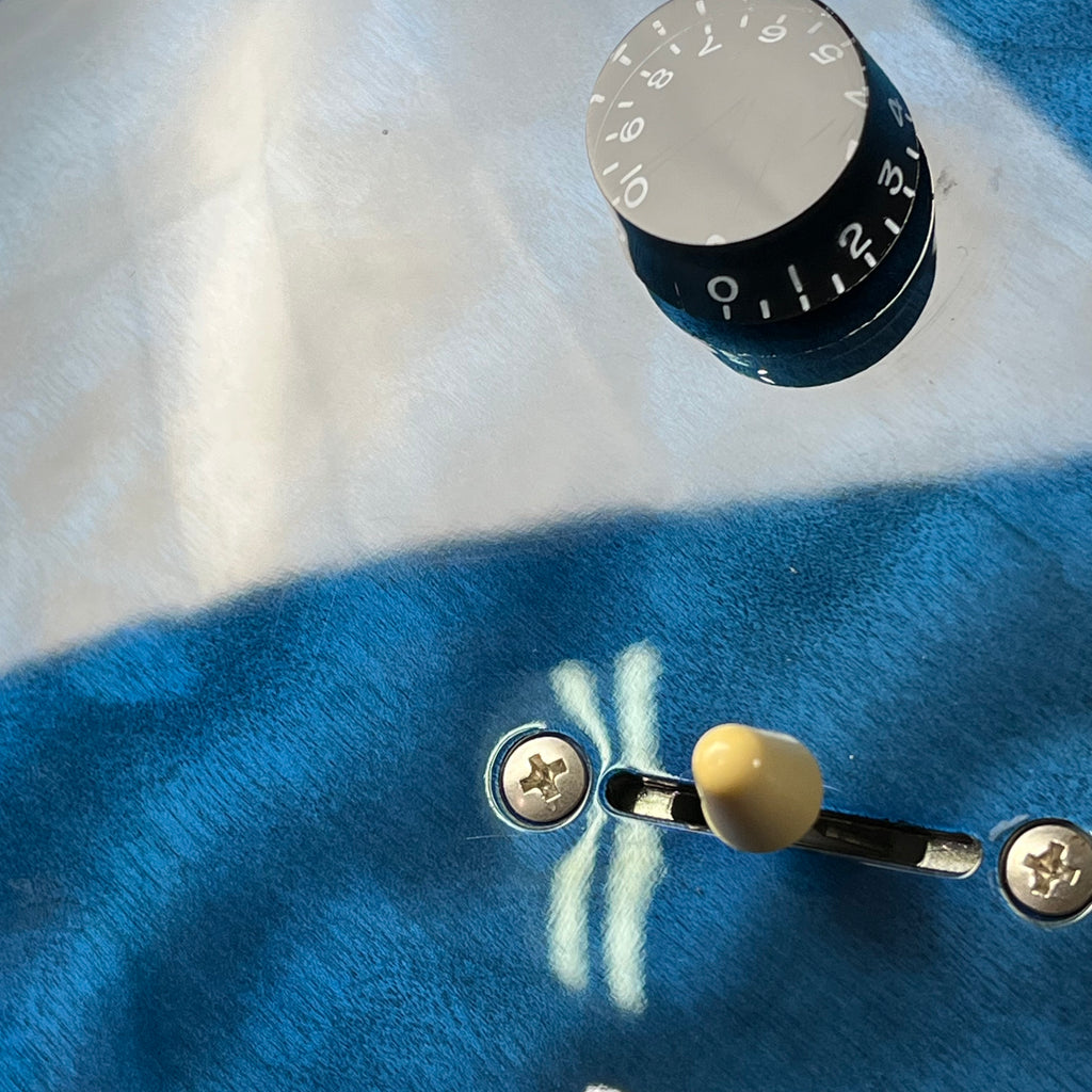 PRS SE Custom 24 Roasted Maple LTD 2019